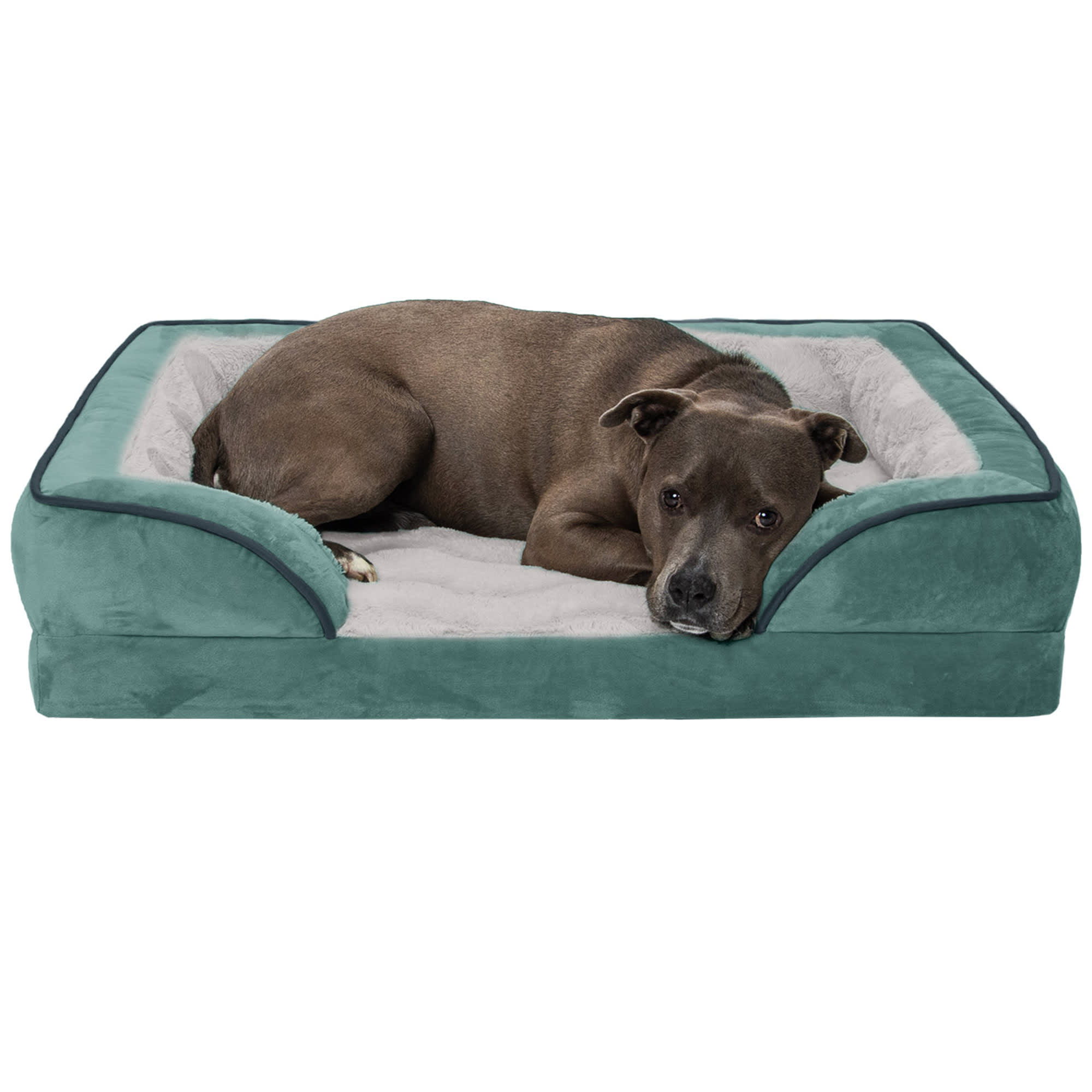 Best Medium Dog Beds
