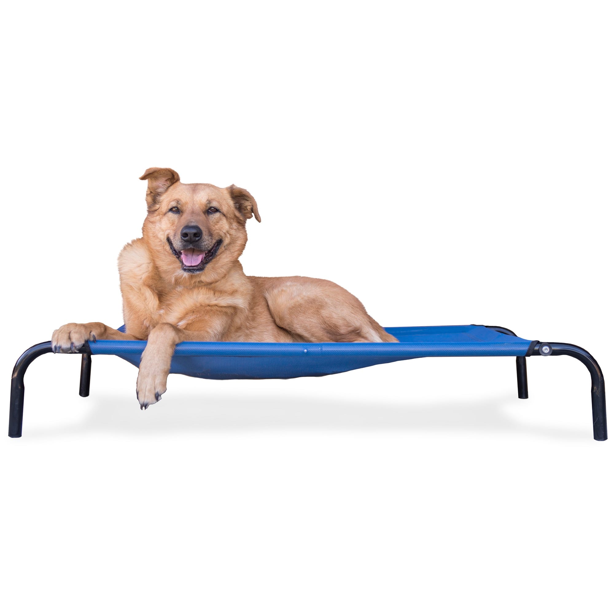 FurHaven Deep Blue Elevated Reinforced Pet Cot Bed, 43.25" L X 32.25" W