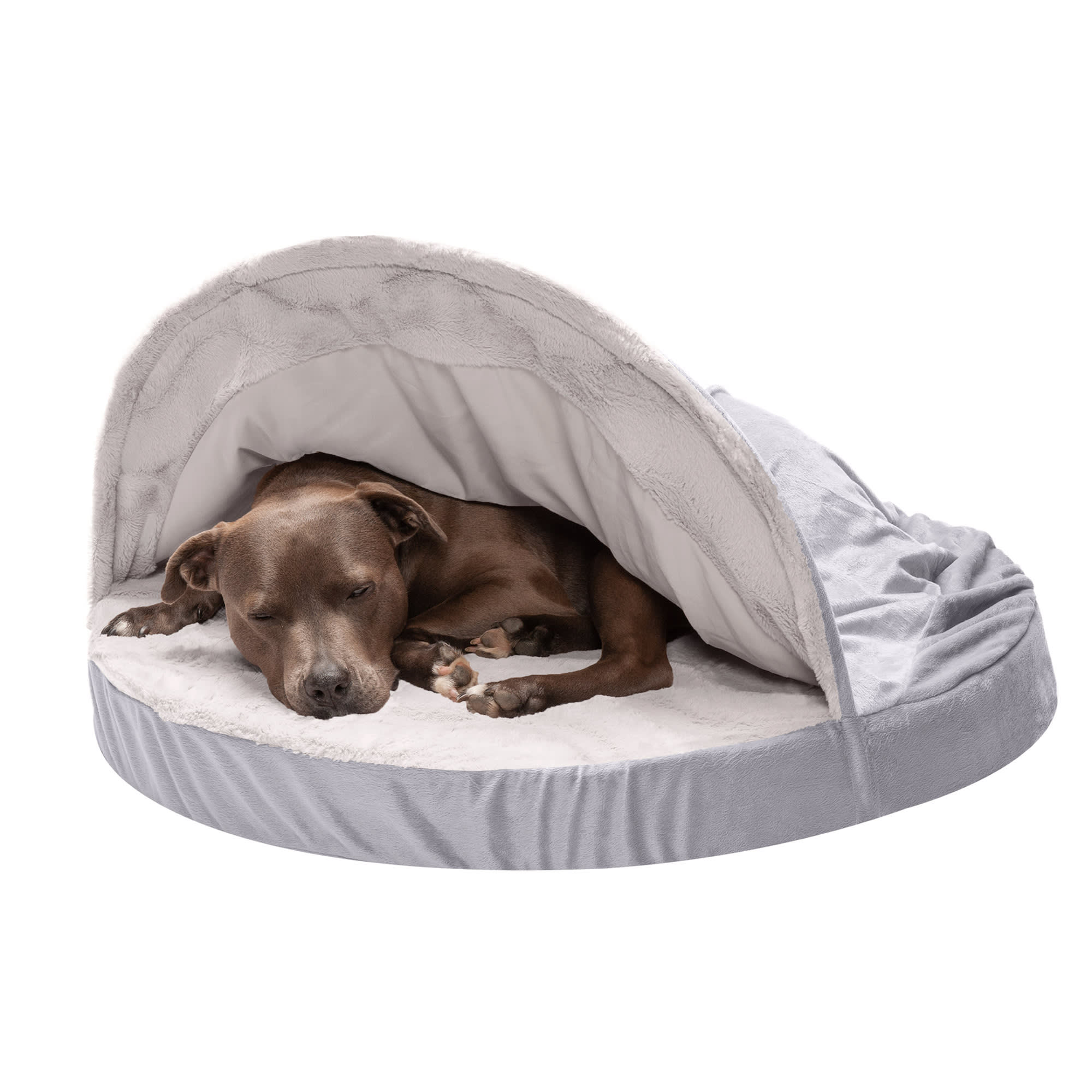 Furhaven orthopedic shop pet bed