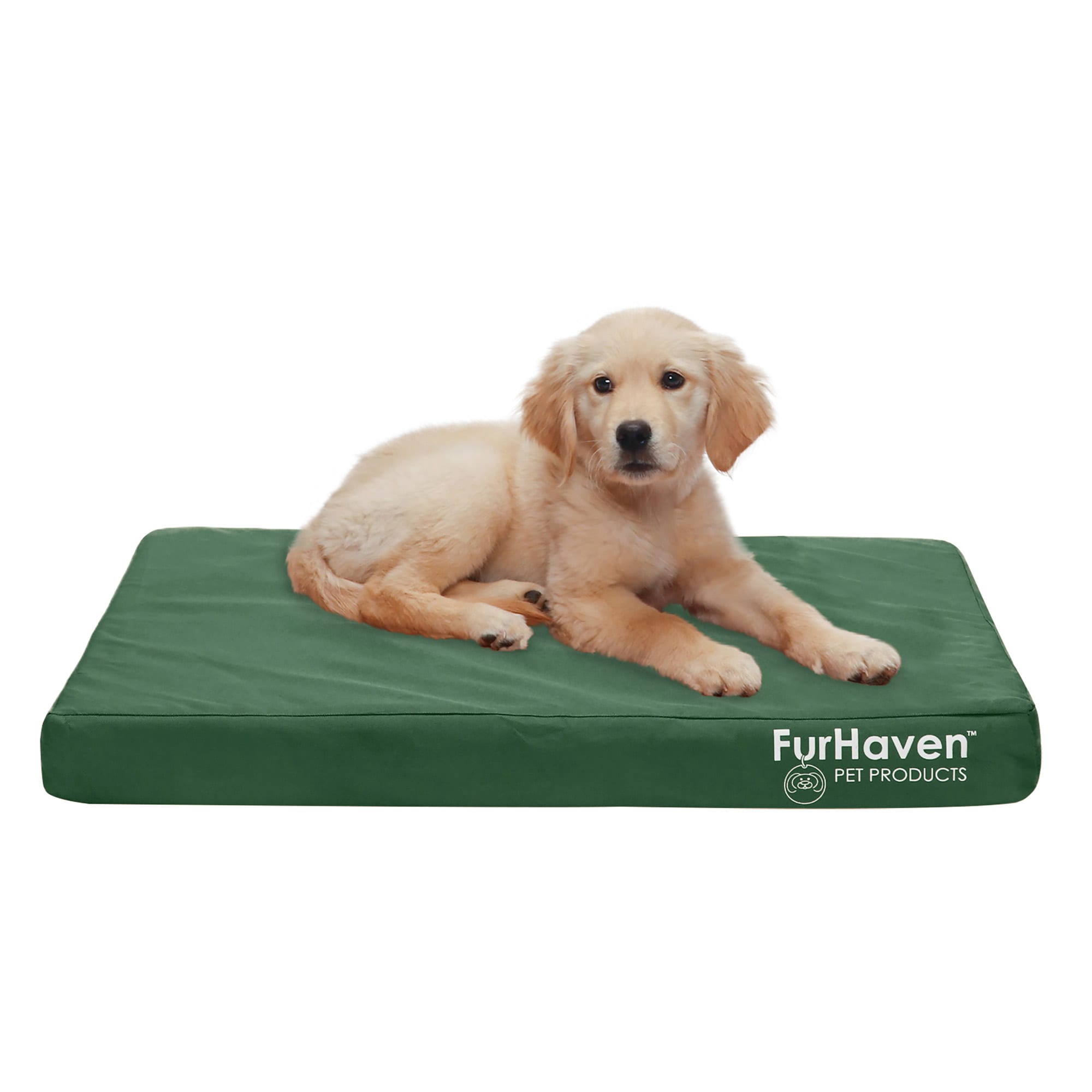 Dog bed shop covers petco