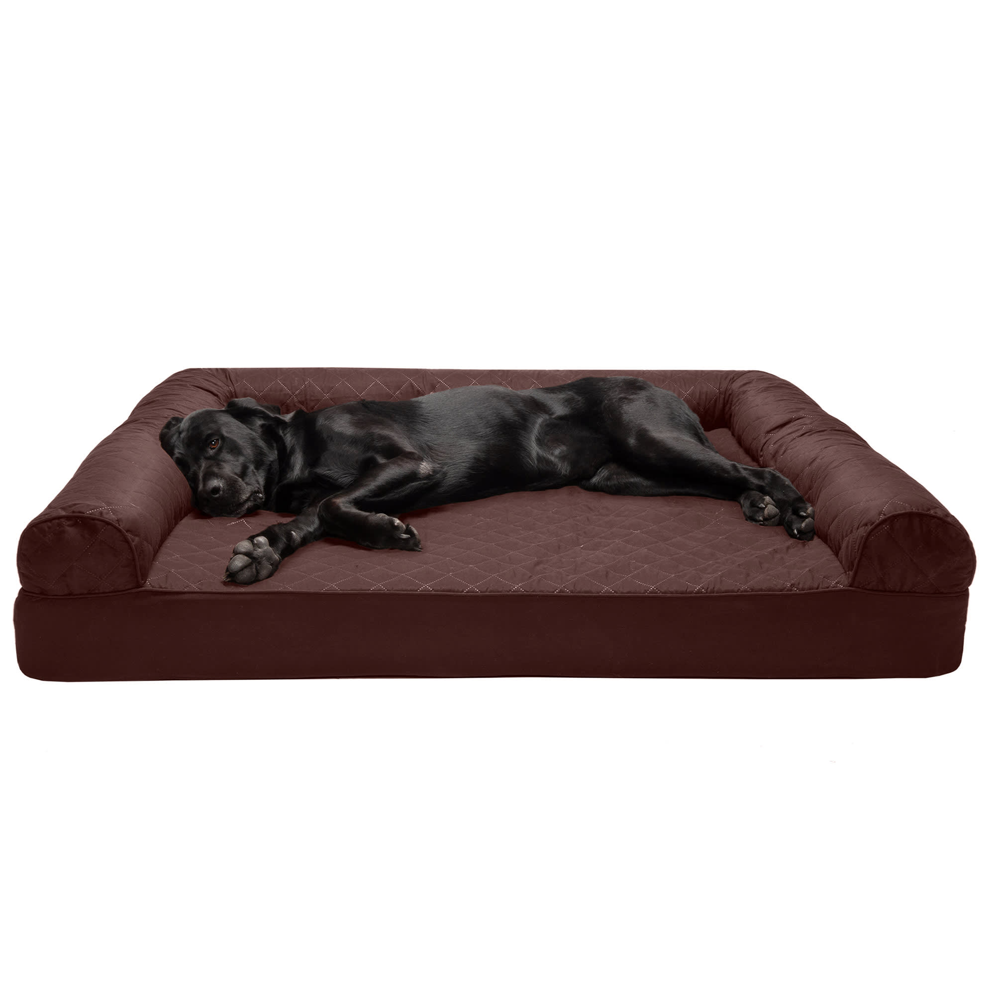 Petco dog sofa best sale