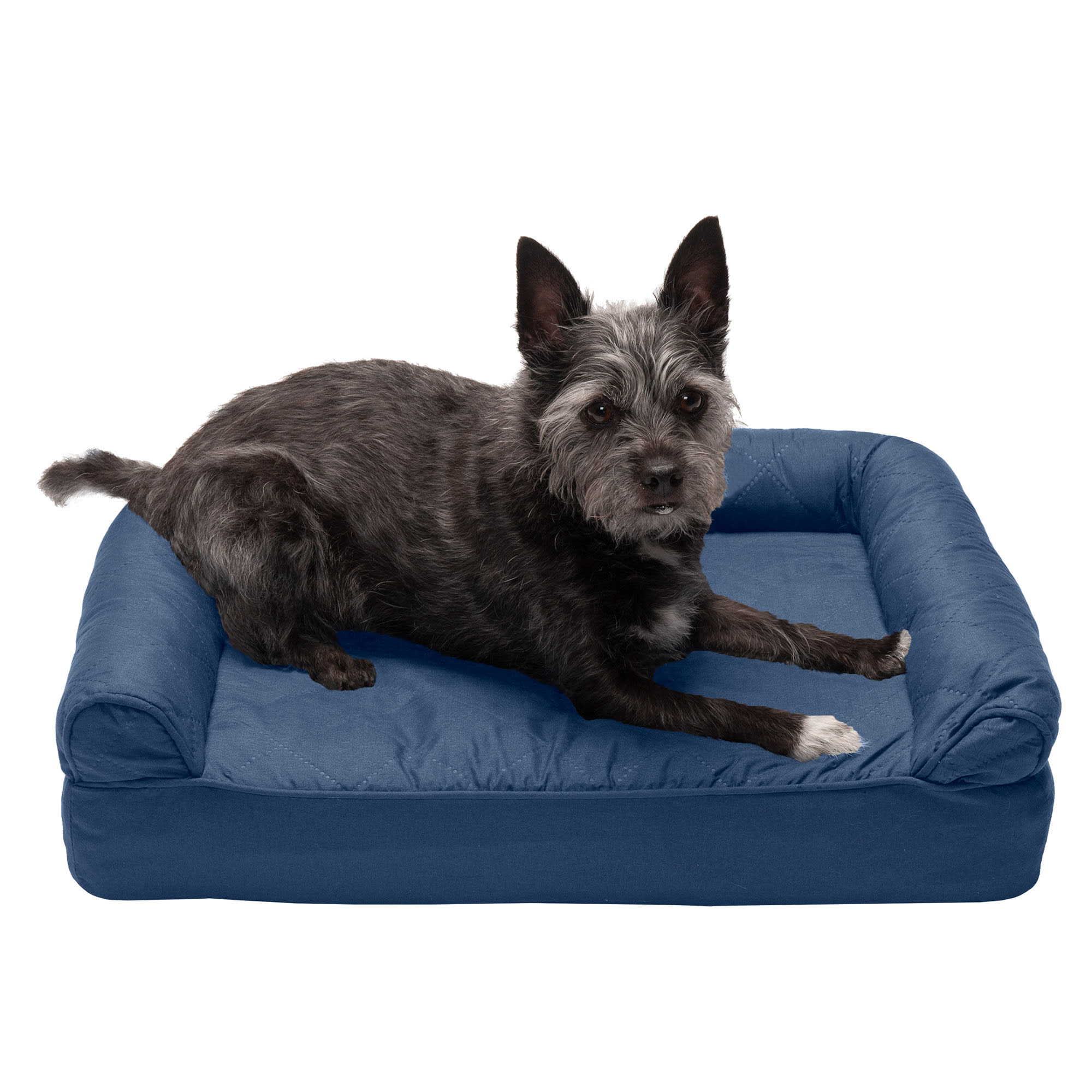 Zoey Tails Quilted Orthopedic Sofa Style Dog Bed Baci Living Room