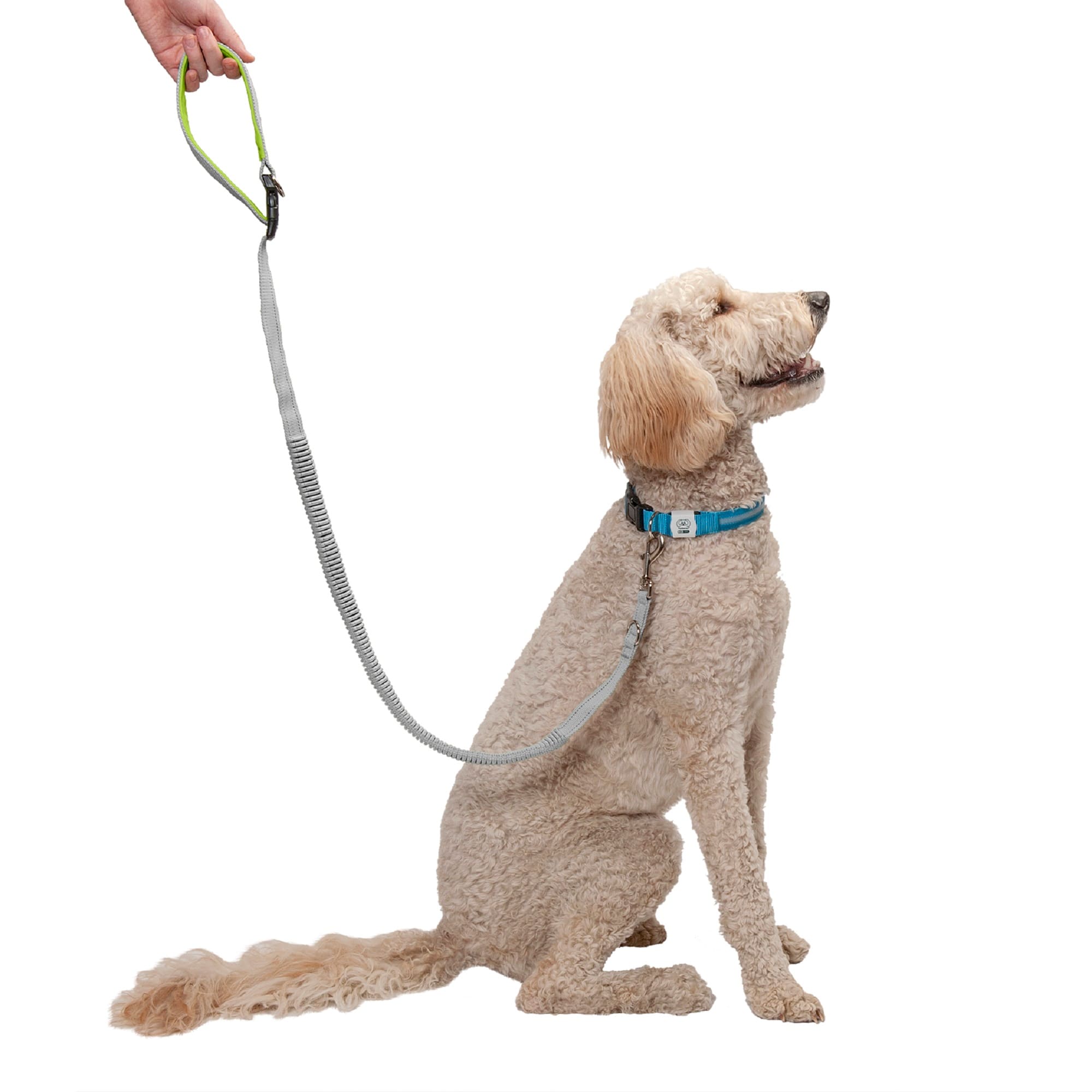 FurHaven Solid Silver Easy Tether Reflective Bungee Dog Leash 72