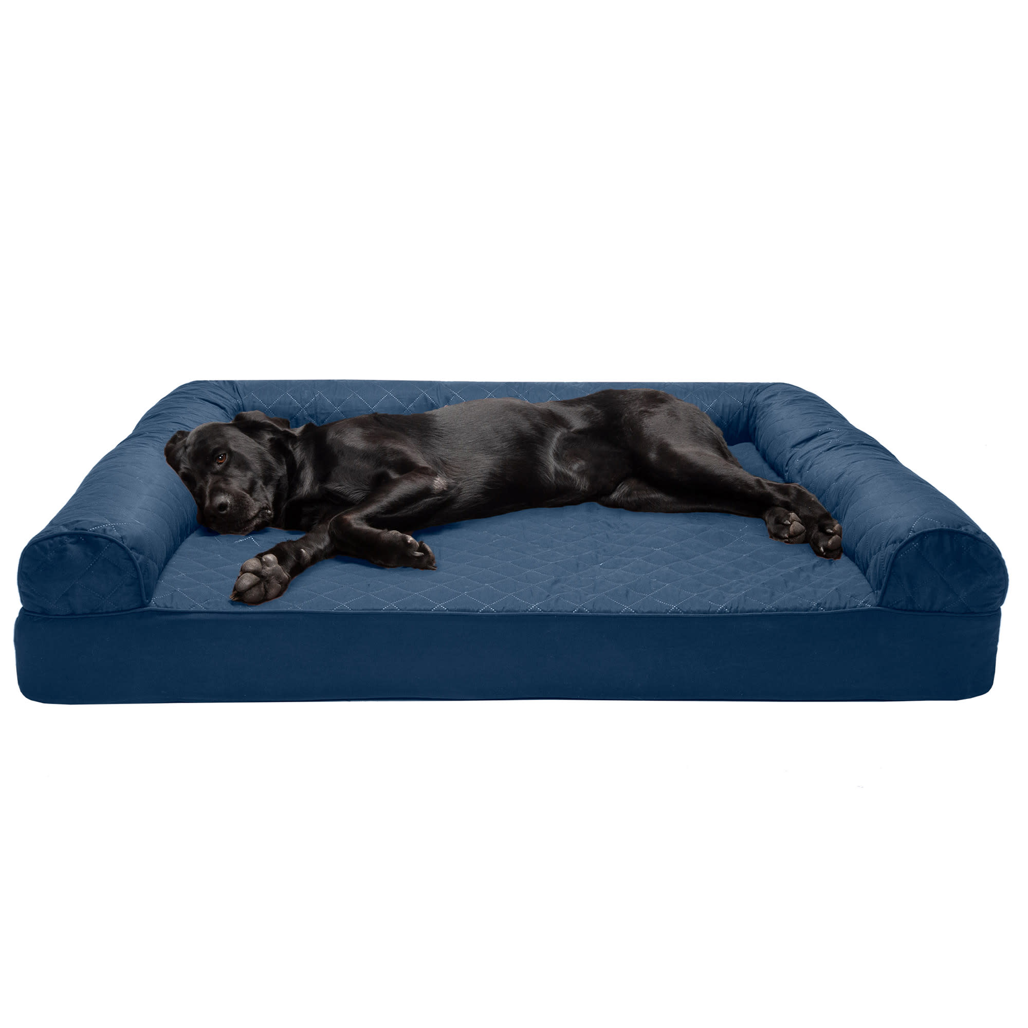 Petco shops dog sofa