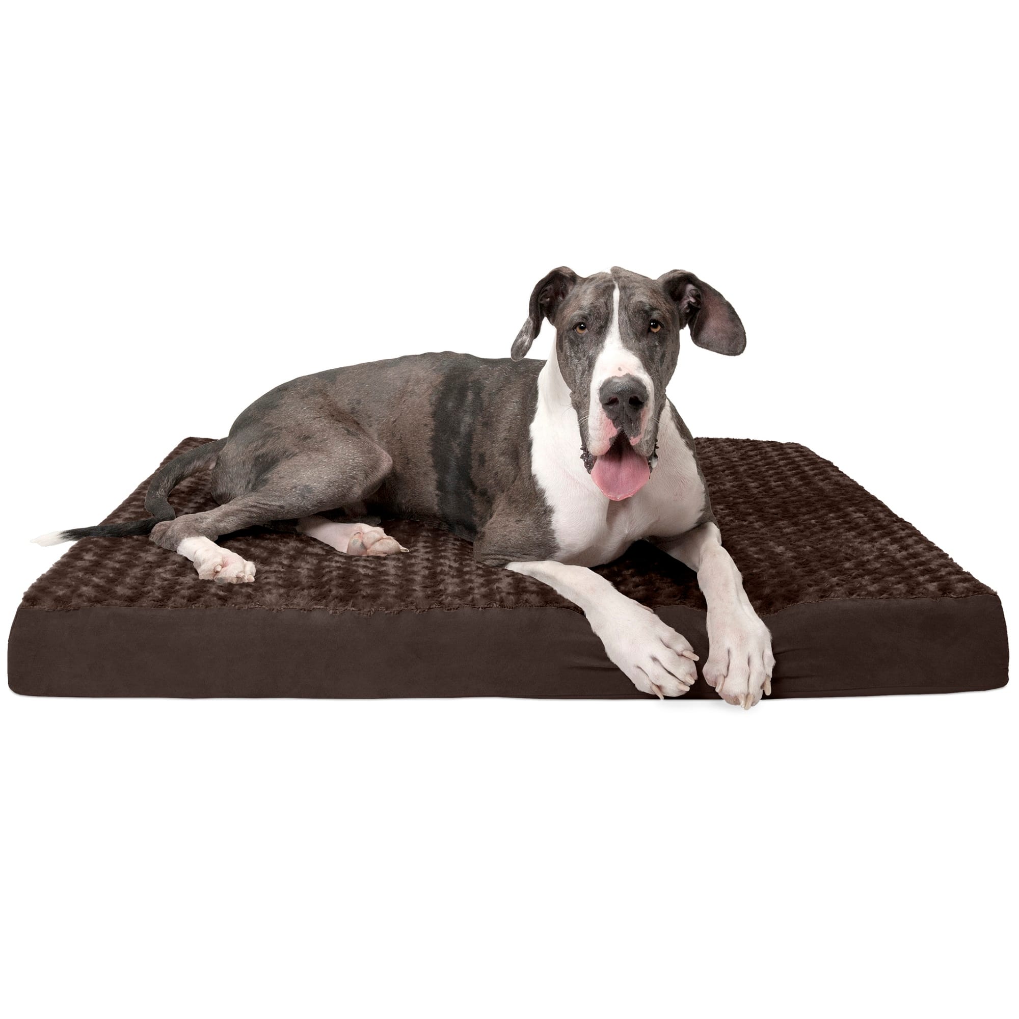 Furhaven orthopedic store pet bed jumbo