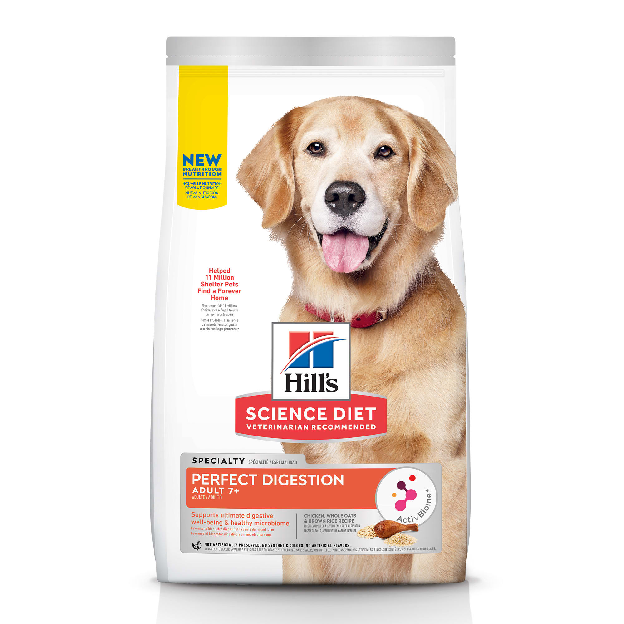 Best Dog Food For Digestion lupon.gov.ph