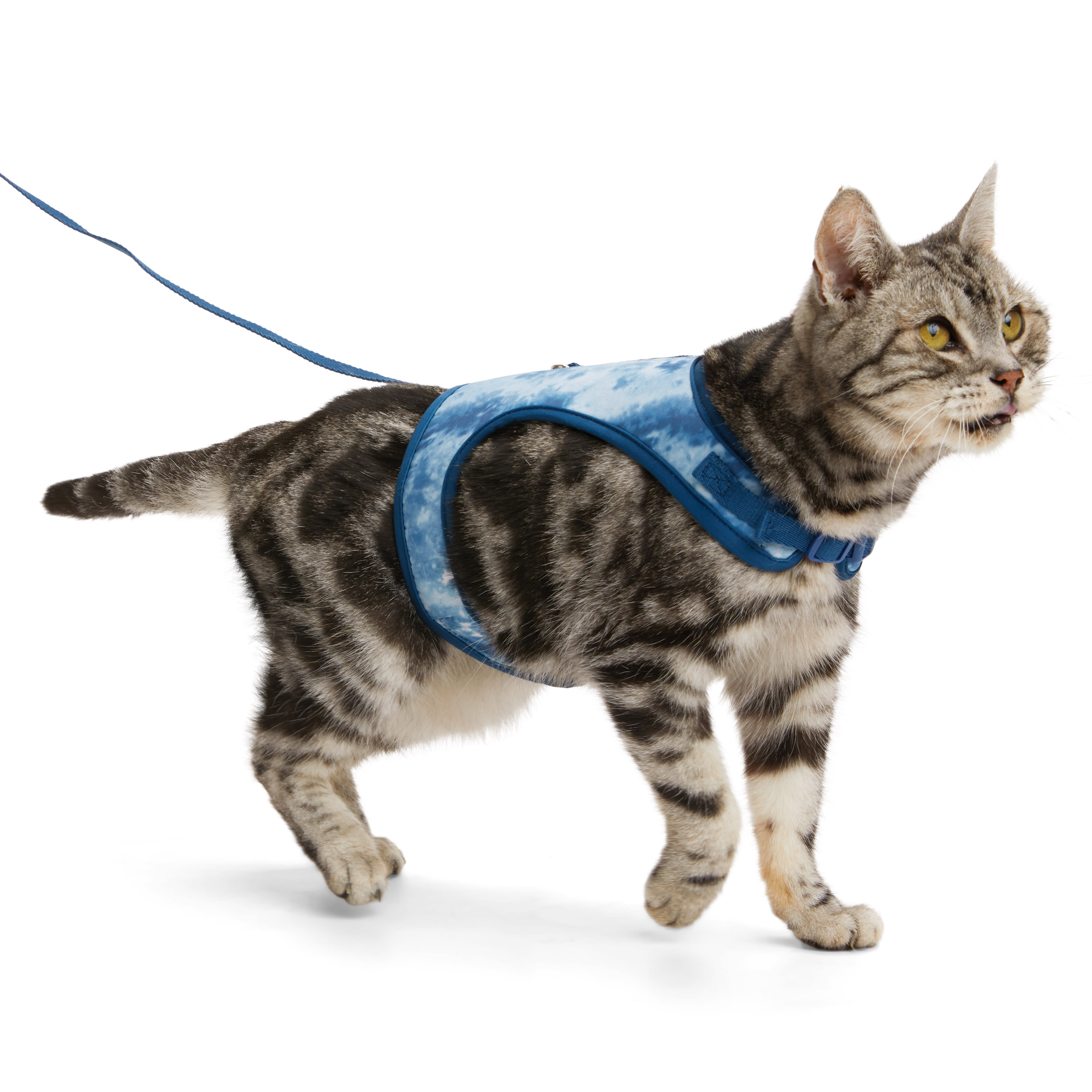 TIDE my cat イデタツヒロ YOULY Tie Dye Cat Harness & Leash Set, Medium | Petco