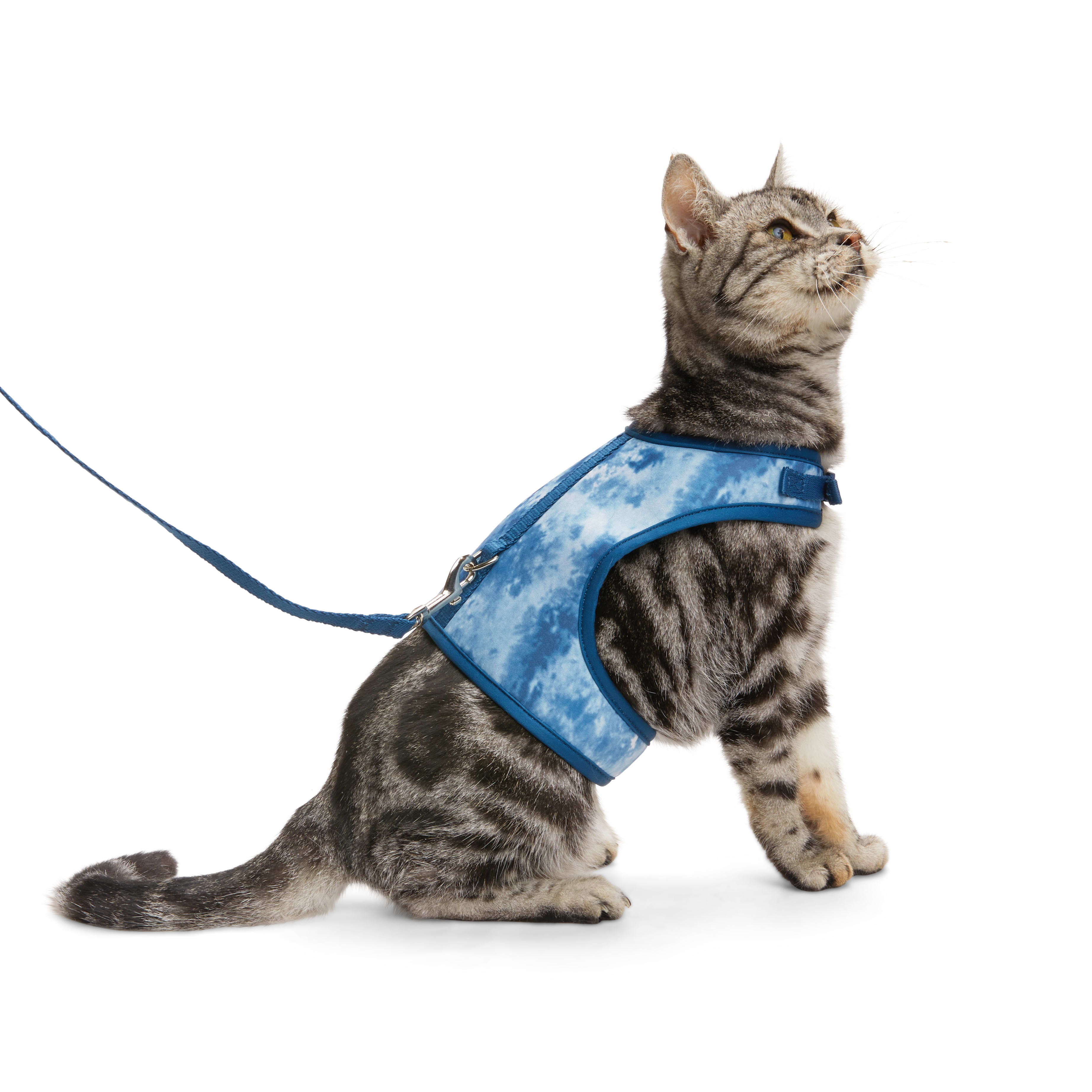 Cat harness and leash petco hotsell