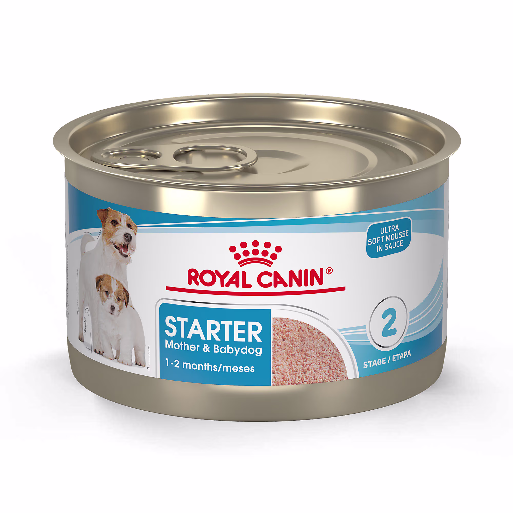 matxxn　 CANIN スタートマザー＆ベビードッグ 24缶 Royal Canin Size Health Nutrition Starter Mother & Babydog Mousse