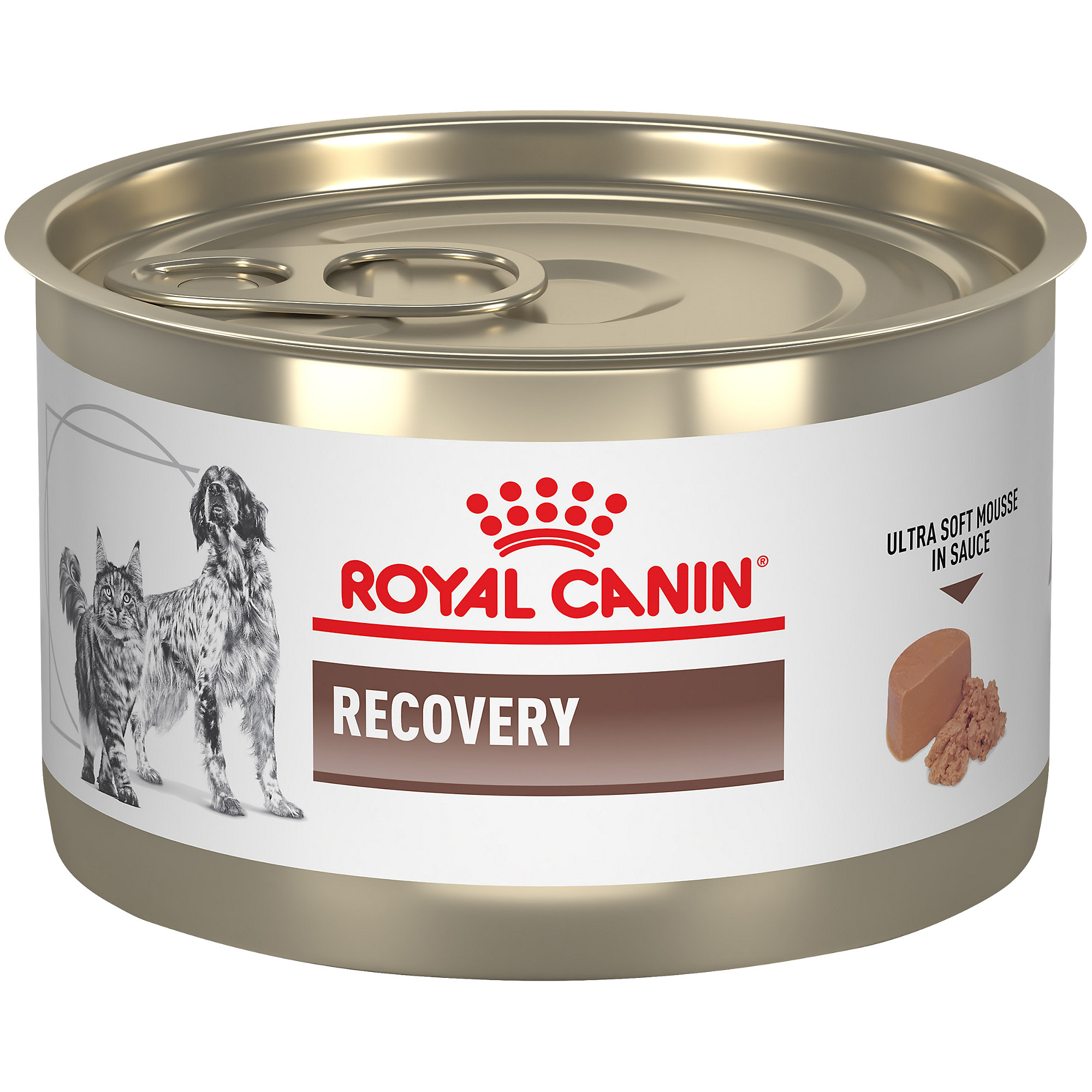 Royal Canin Recovery Cat Food: The Ultimate Buying Guide & Top 10 ...