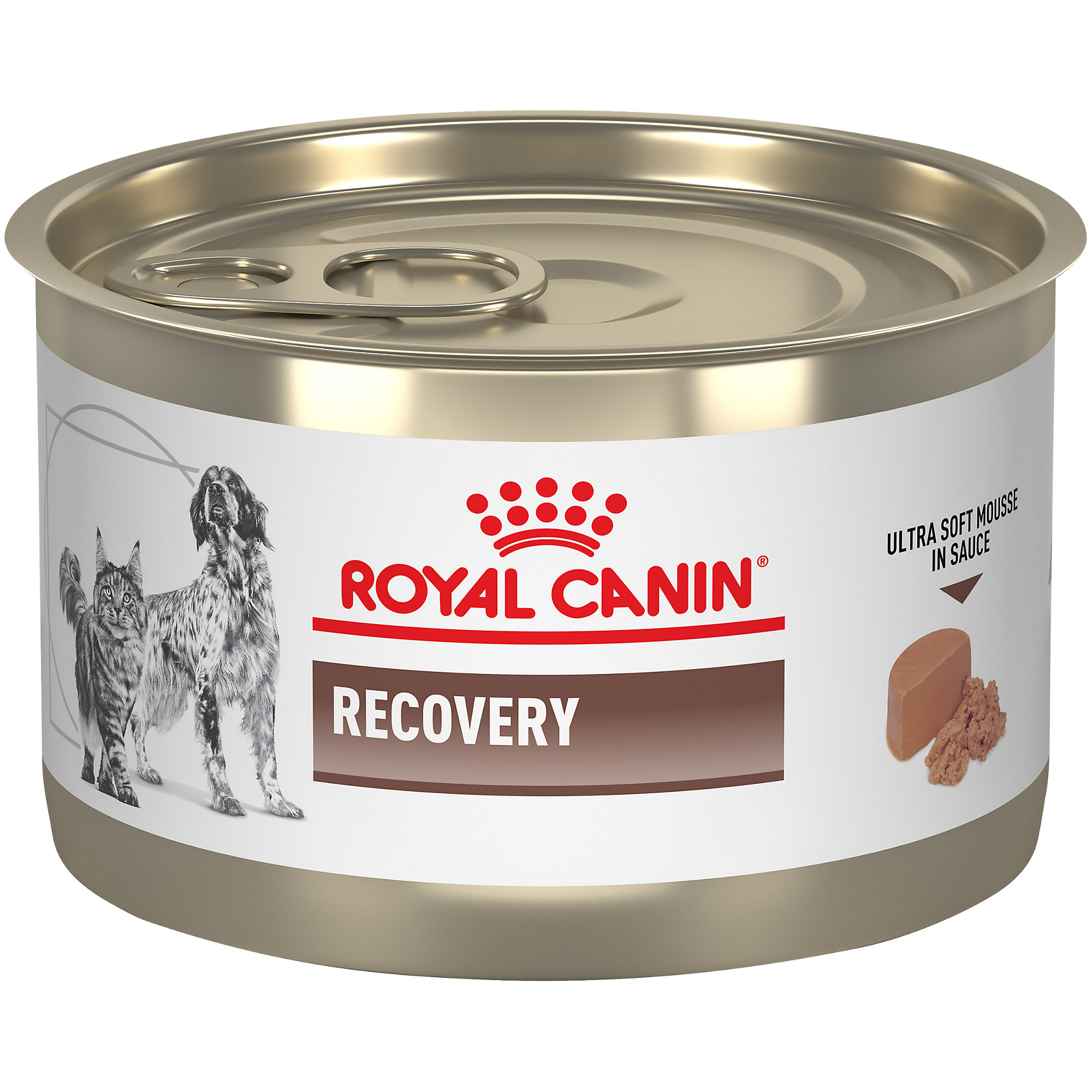 What Is Recovery Food For Dogs