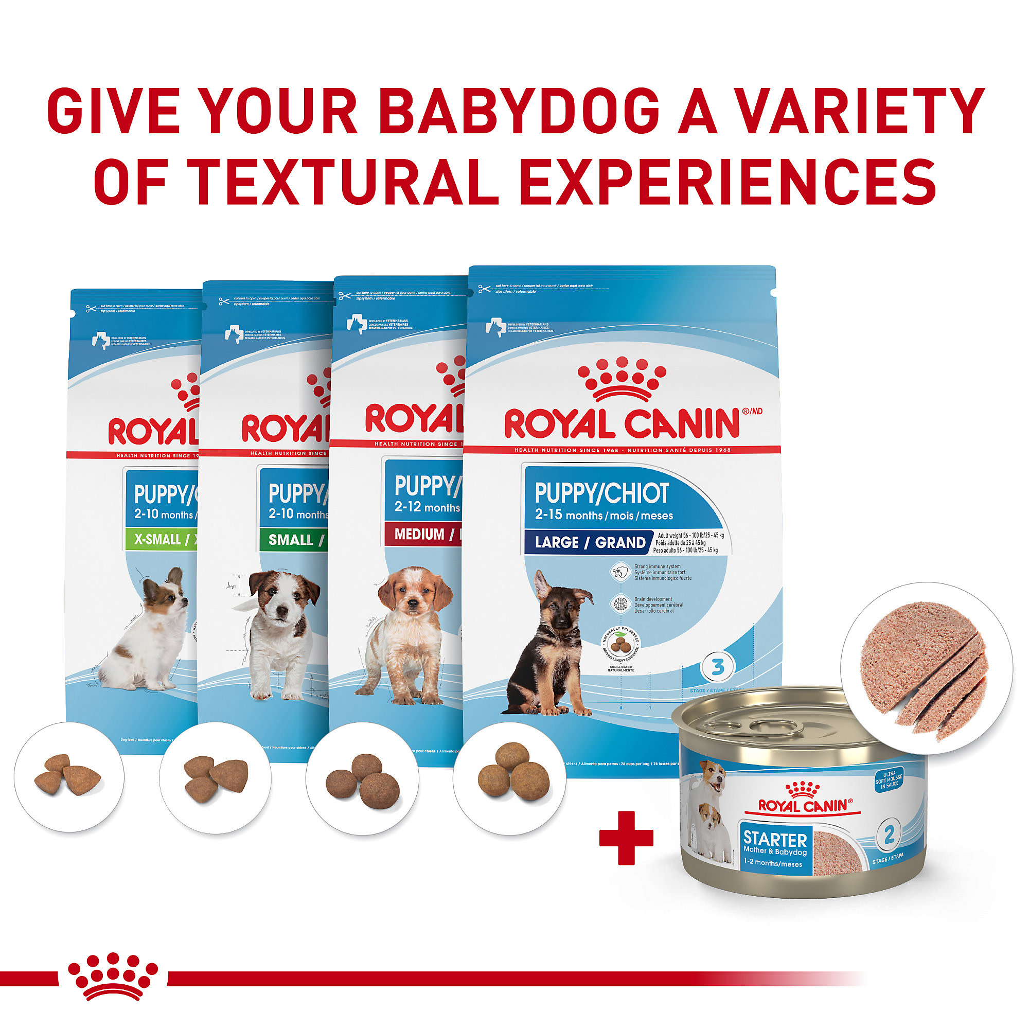 Starter royal canin clearance mousse