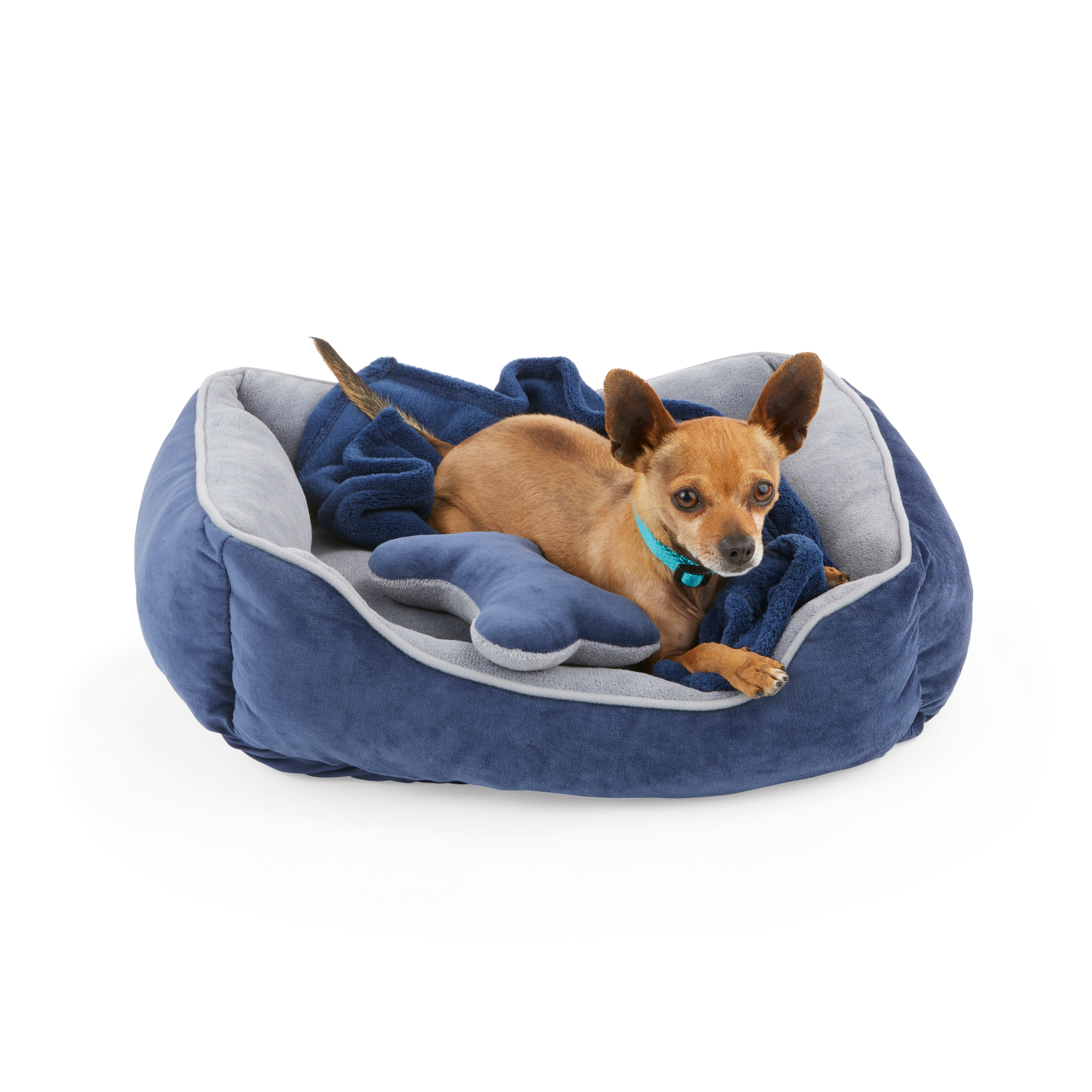 EveryYay Essentials Navy Snooze Fest Dog Bed Bundle, 22