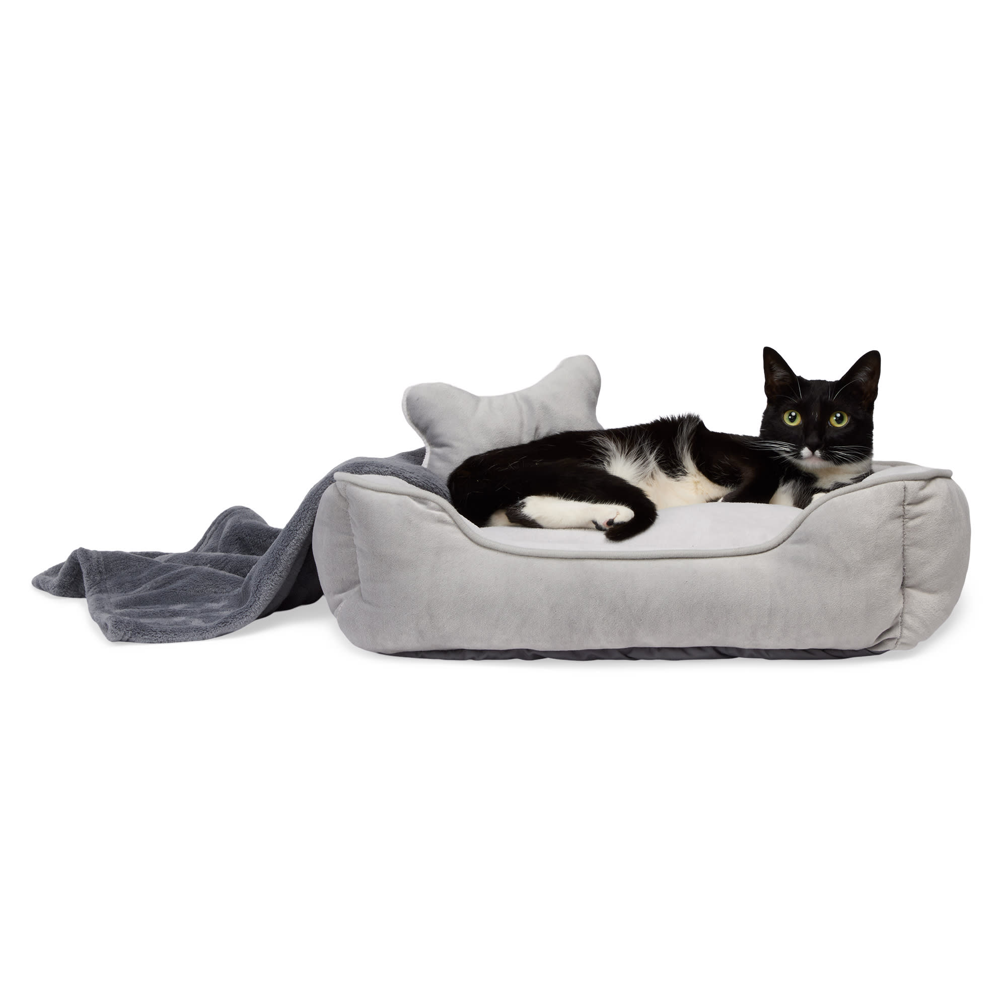 Everyyay Essentials Snooze Fest Dog Bed Bundle 22 L X 18 W Grey Petco