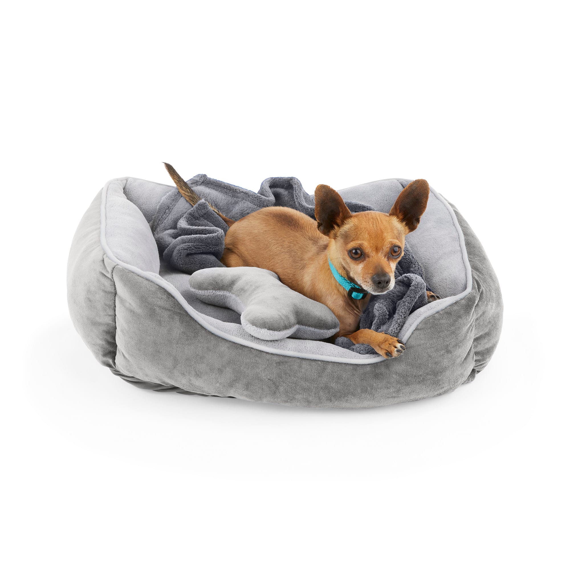 EveryYay Essentials Dog Bed Bundle 22 L X 18 W Small Gray