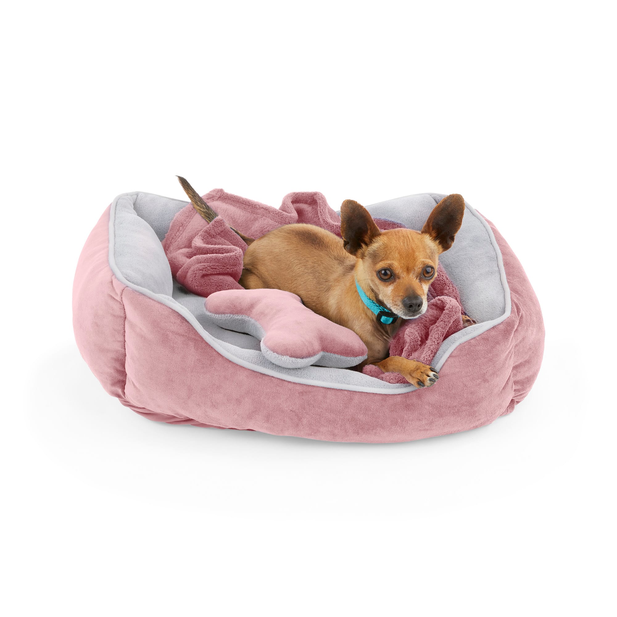 EveryYay Essentials Dog Bed Bundle 36 L X 30 W X 6.5 H Large Pink