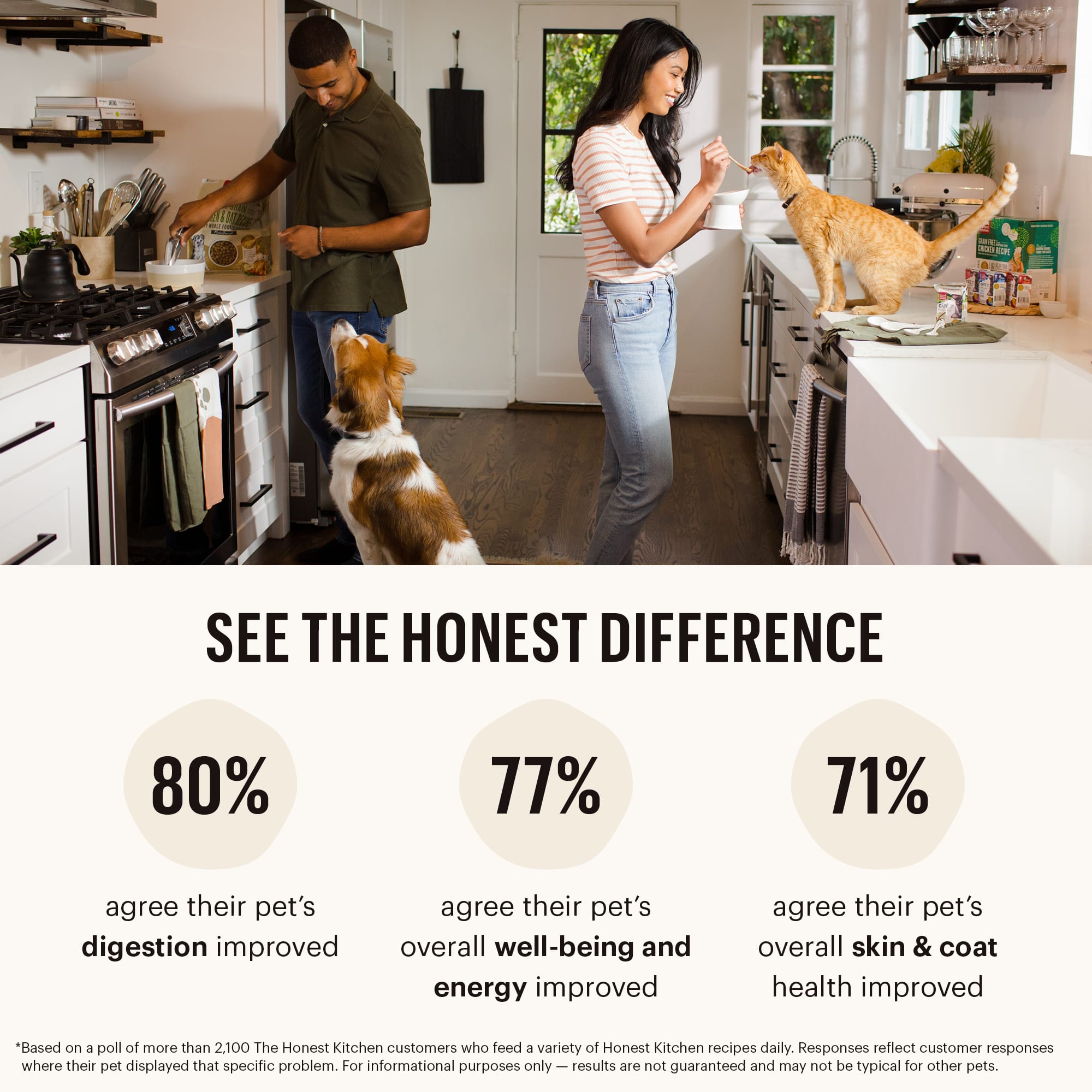 The Honest Kitchen Dehydrated Limited Ingredient Chicken Recipe Dog Food 4 lbs. Petco