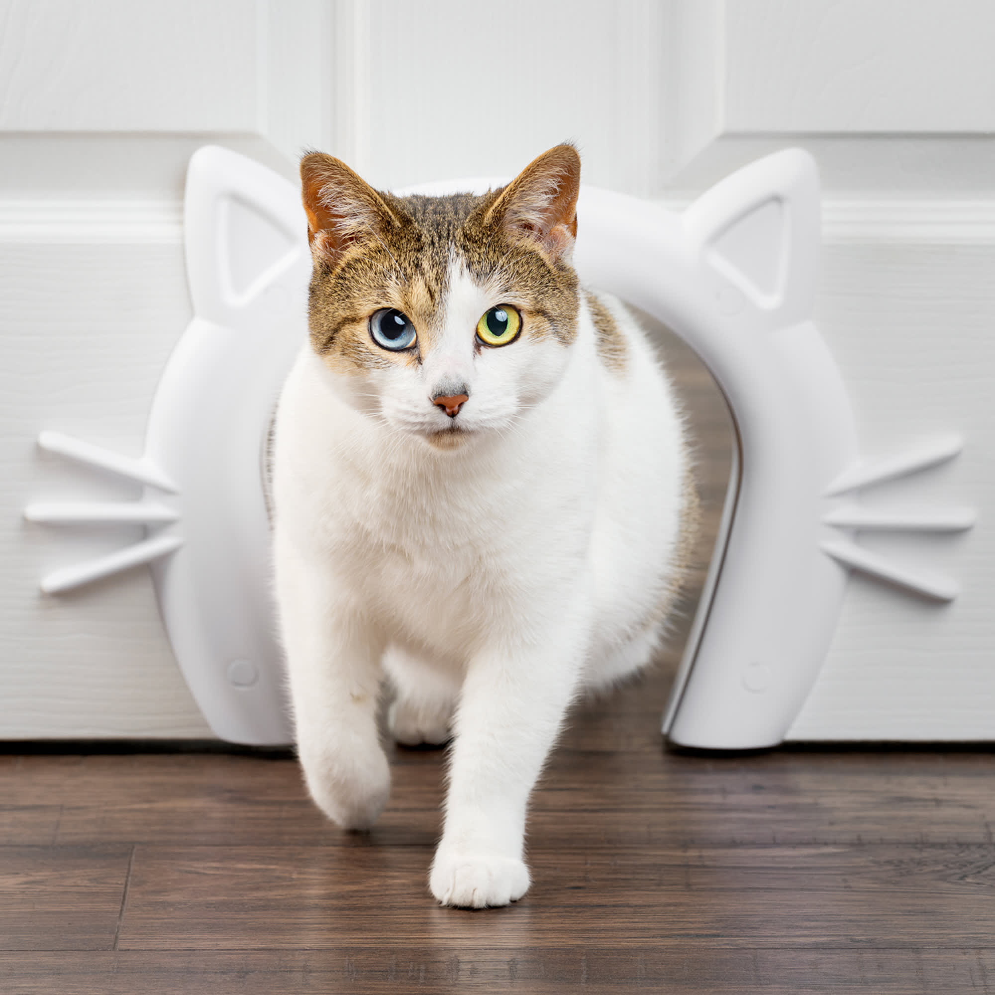 Best cat door for cheap window