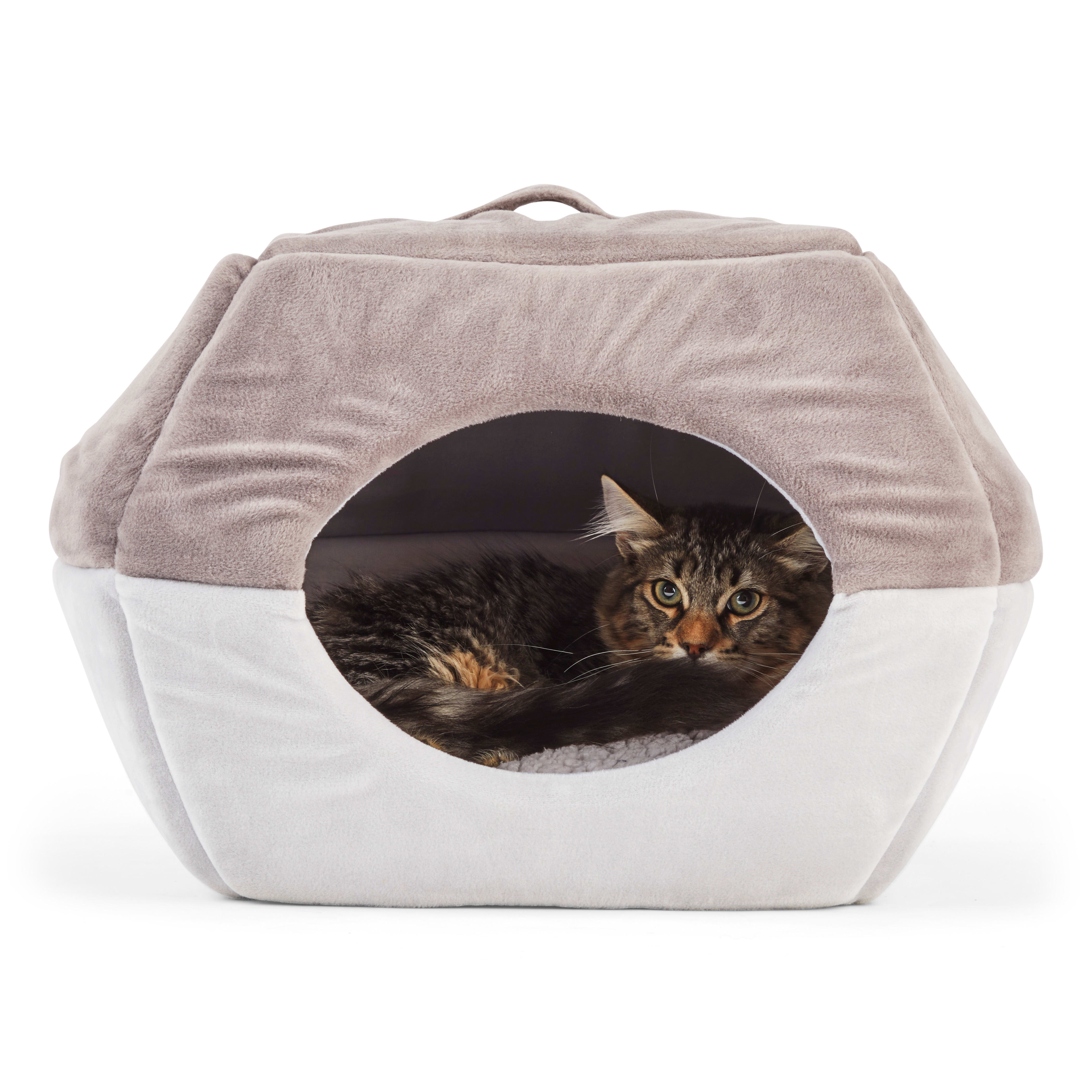 Cat bed shop for two