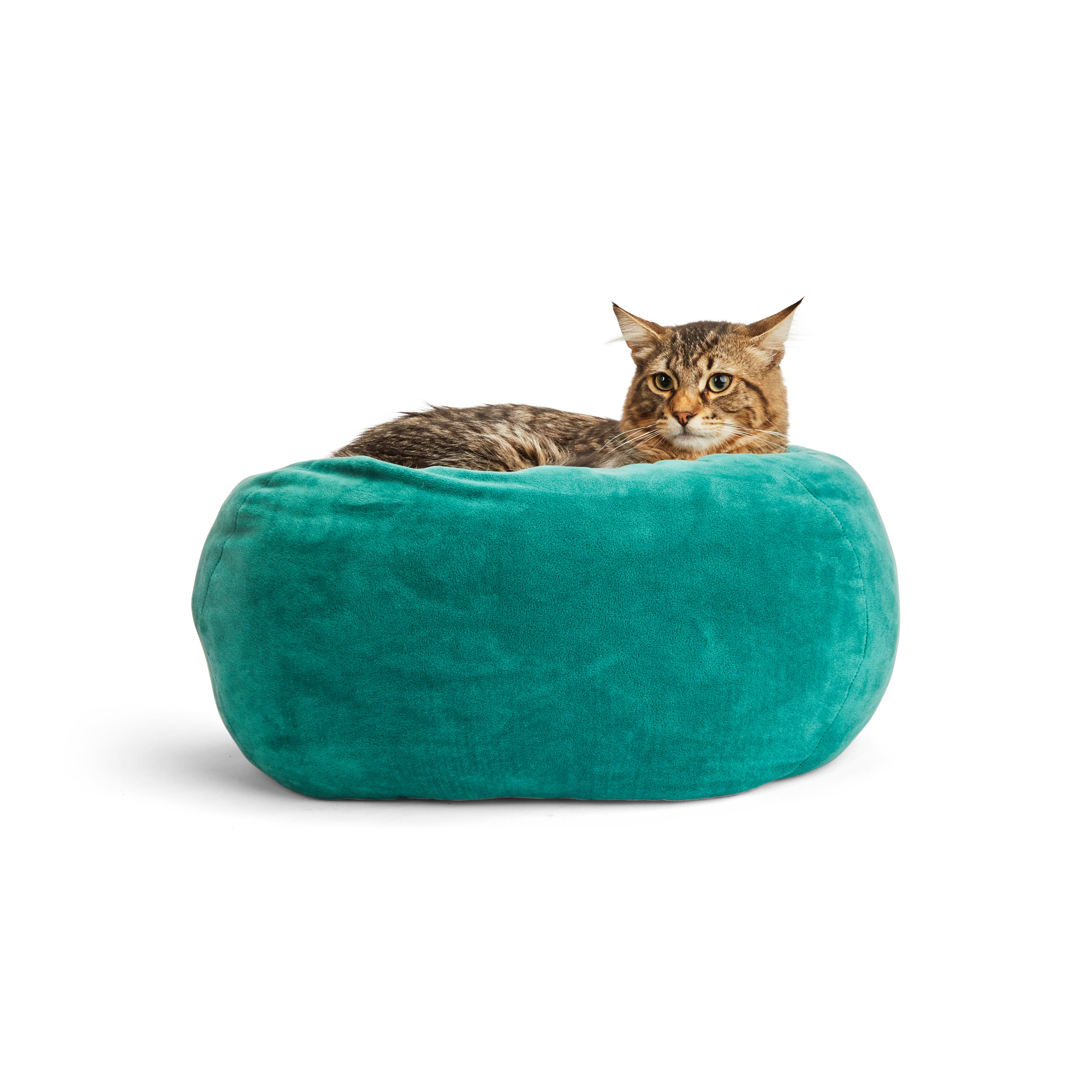 Cute print! Home made sturdy cat beds-machine washable and cats love them