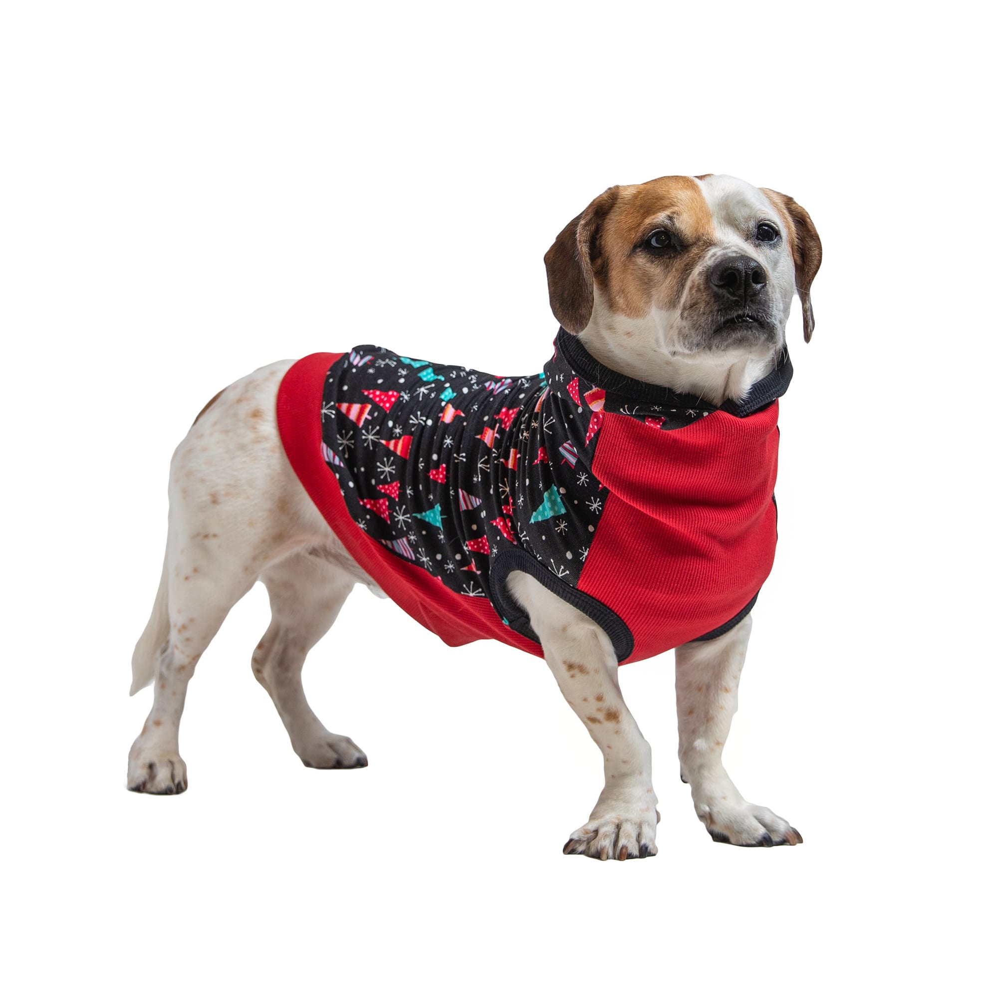 Long Dog Clothing Co. The Wonderland Holiday Dog Hoodie Large Petco