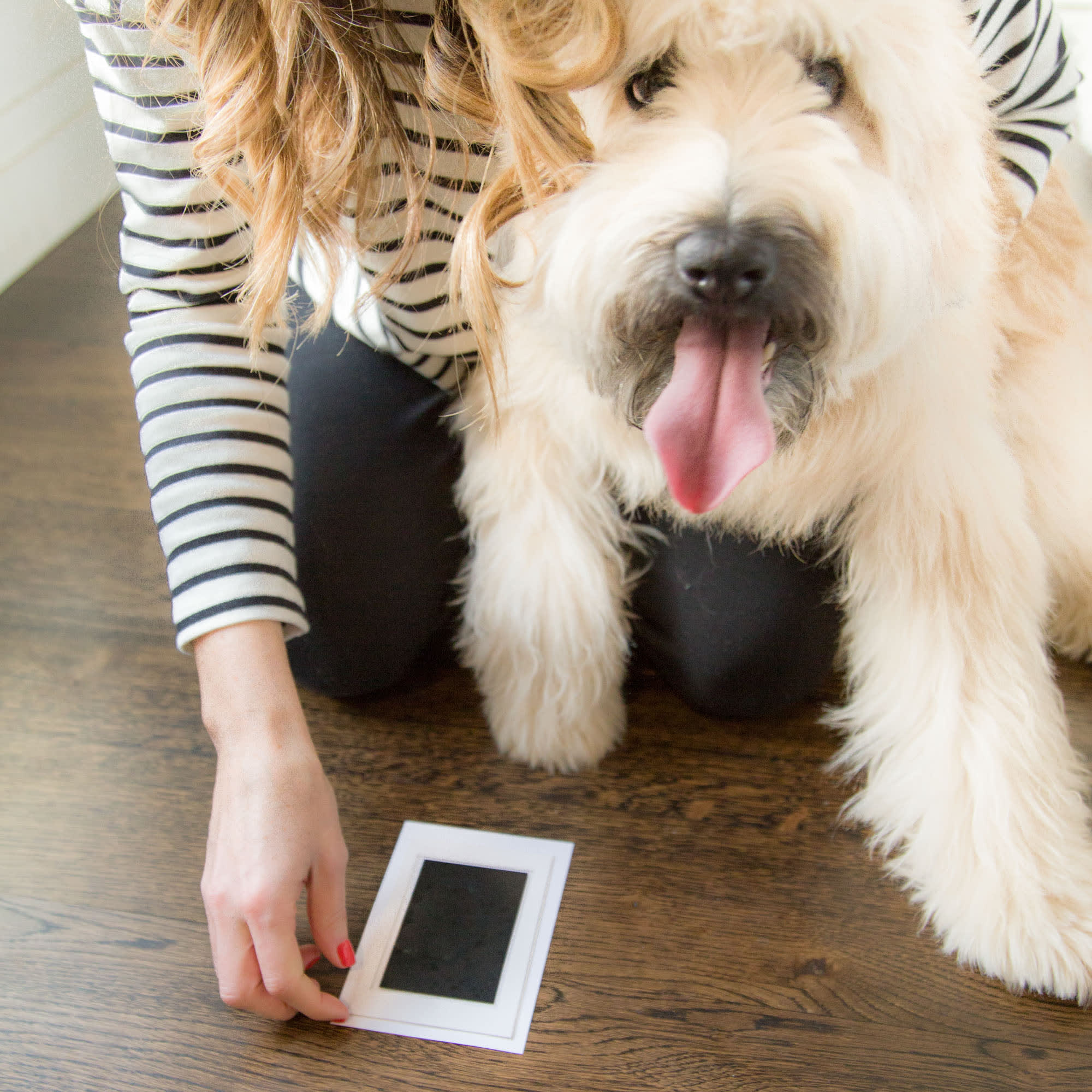 1Pcs Ink Pads, Fingerprint Ink Pad Ink Pad for Dog Paw Prints