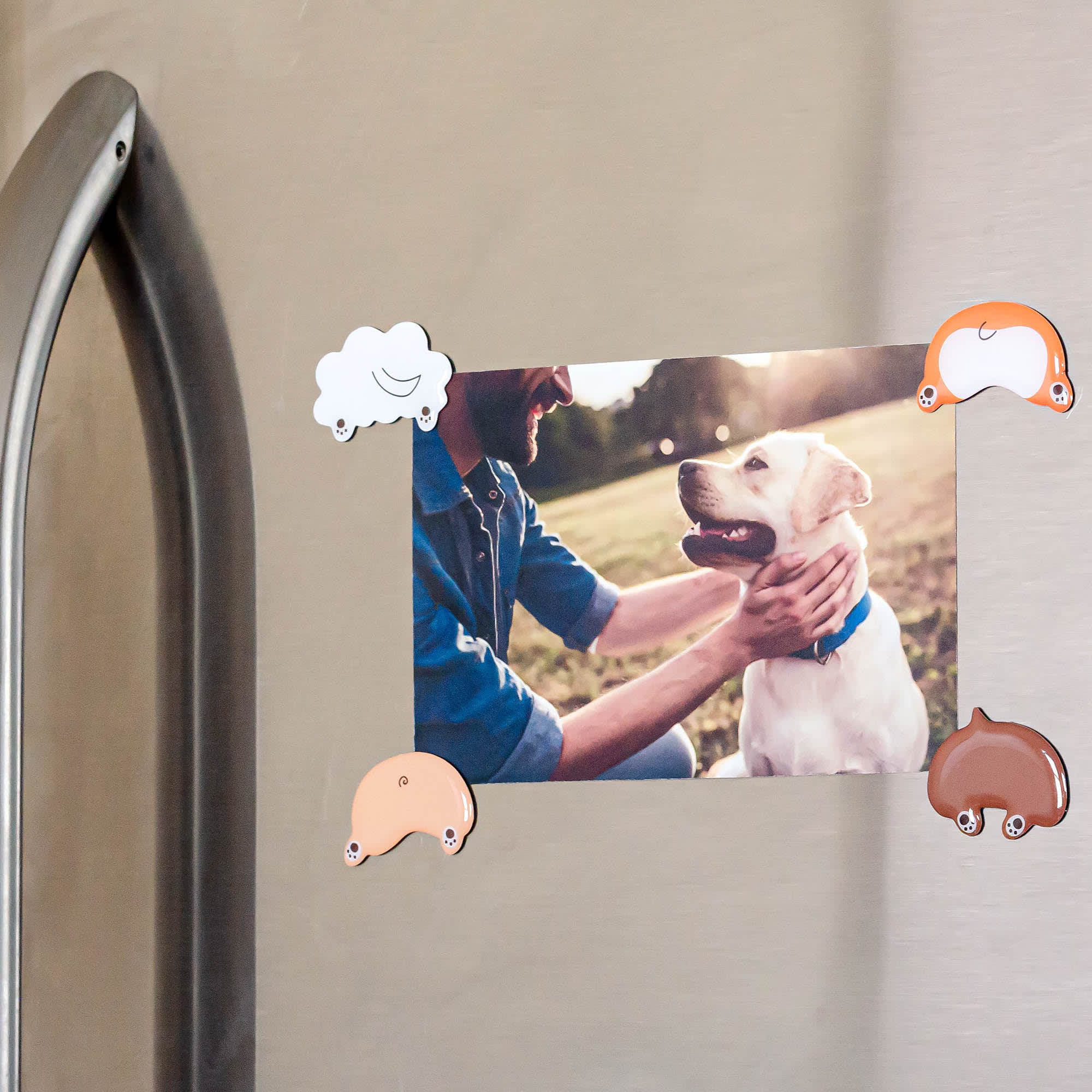 Pearhead Pet Dog Butt for Refrigerator, Pack of 4 Petco