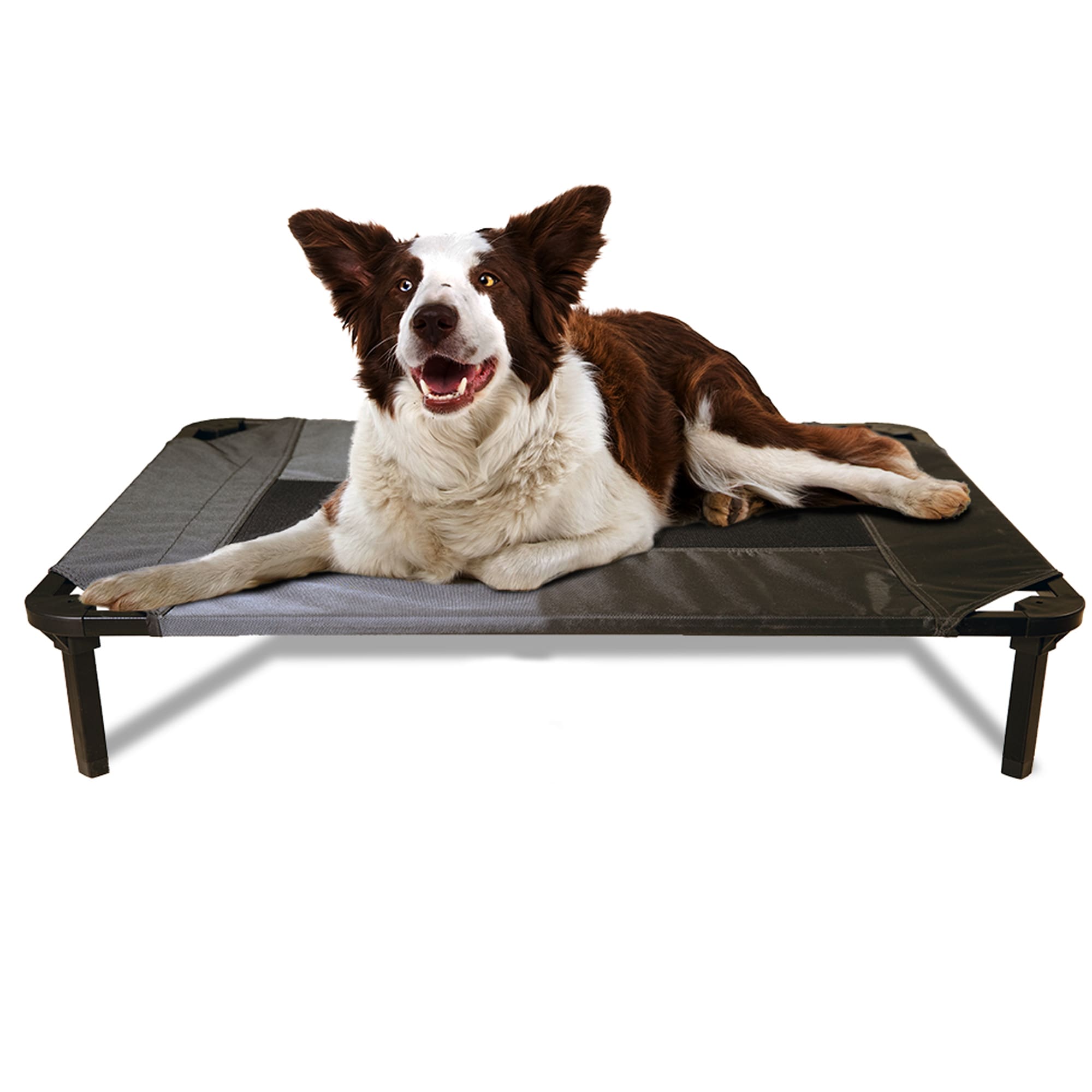 Lucky Dog Comfort Cot Gray Elevated Bed, 35.2" L X 22.4" W X 7.5" H Petco