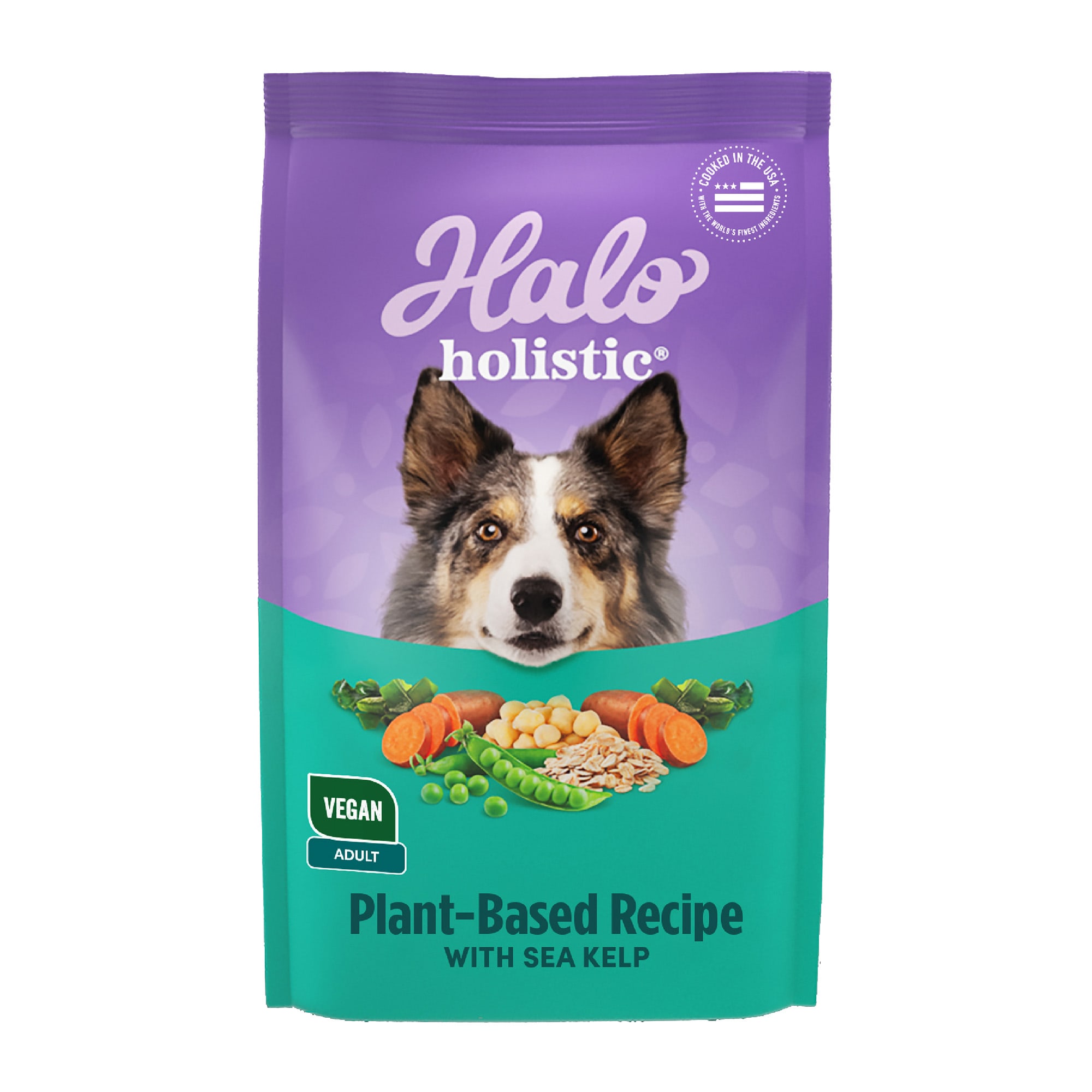 Holistic select hot sale dog food petco