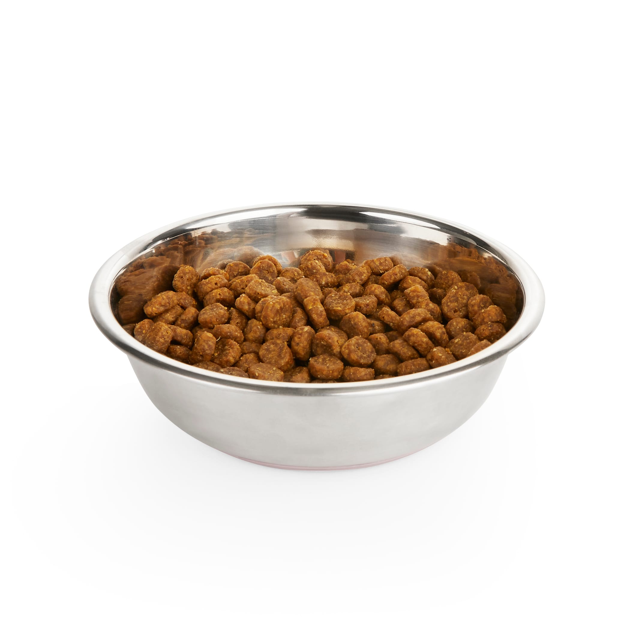 EveryYay Dining In Lidded Stainless Steel Cat Bowl 0.75 Cups Petco