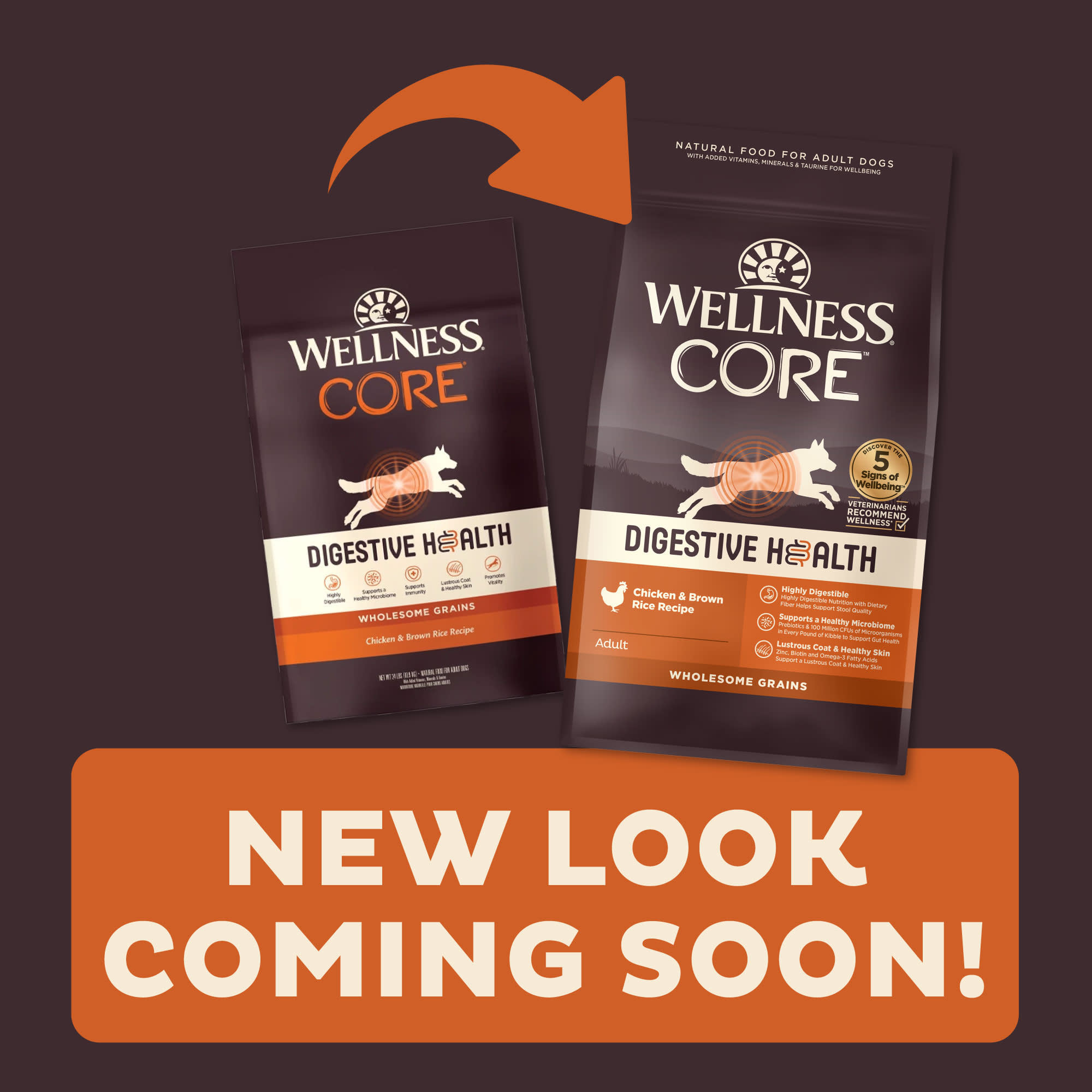 Wellness CORE Digestive Health Chicken Brown Rice Dry Dog