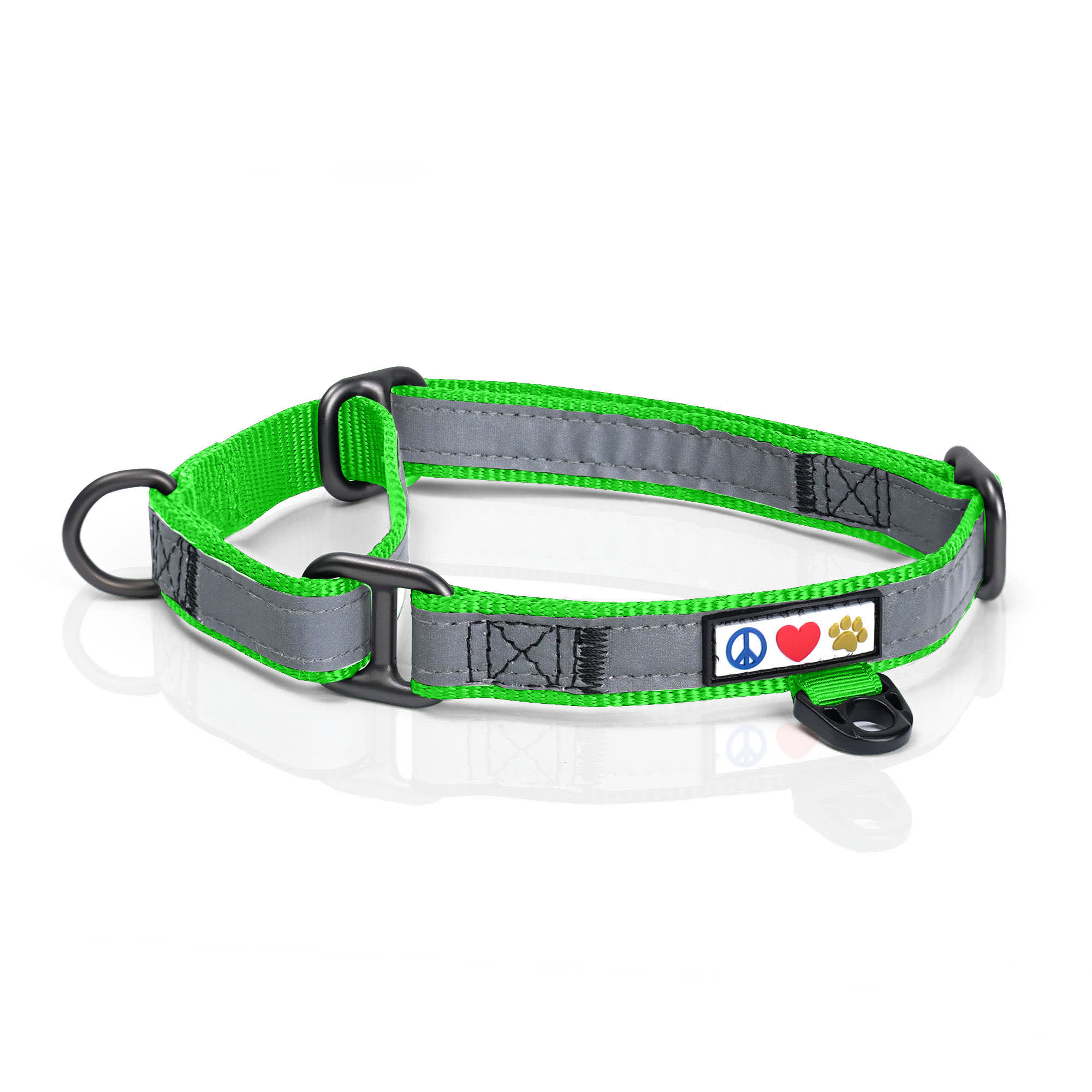 Pawtitas Green Personalized Reflective Martingale Dog Collar, Large