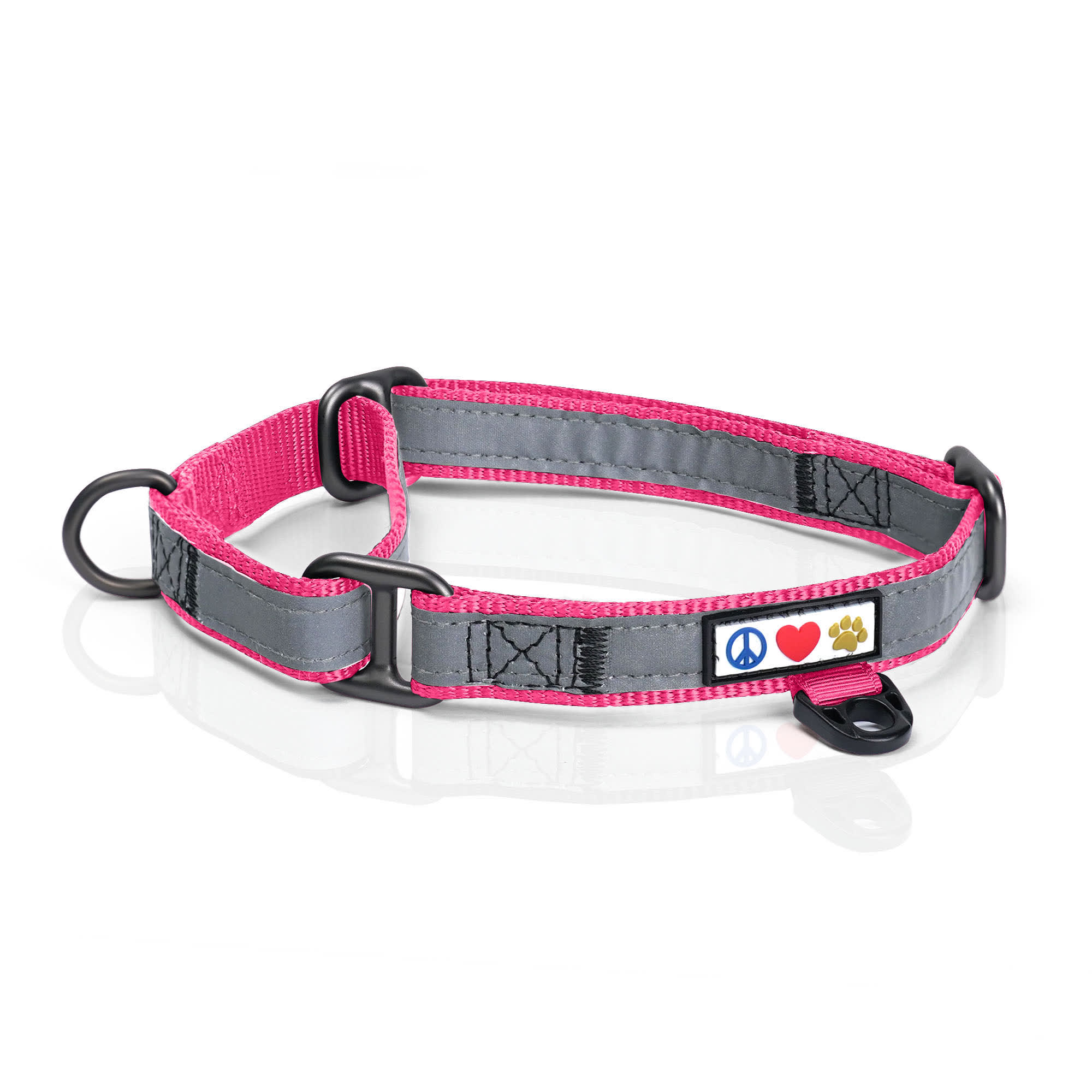 Pawtitas reflective dog store collar