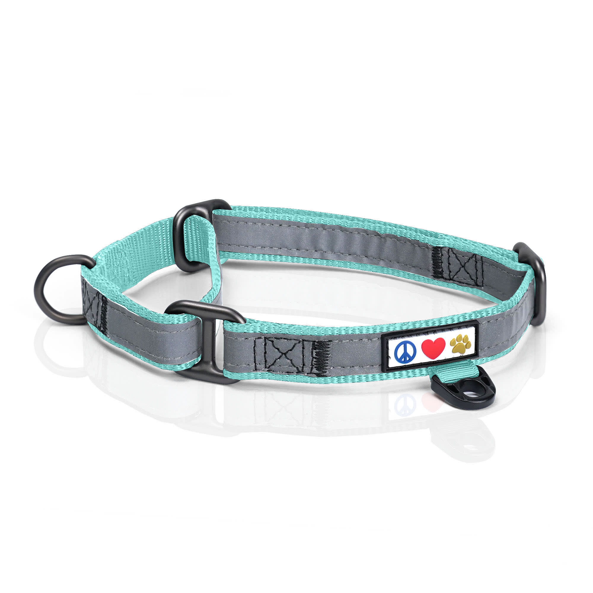 Pawtitas Reflective Martingale Dog Collar, Teal, Large Petco