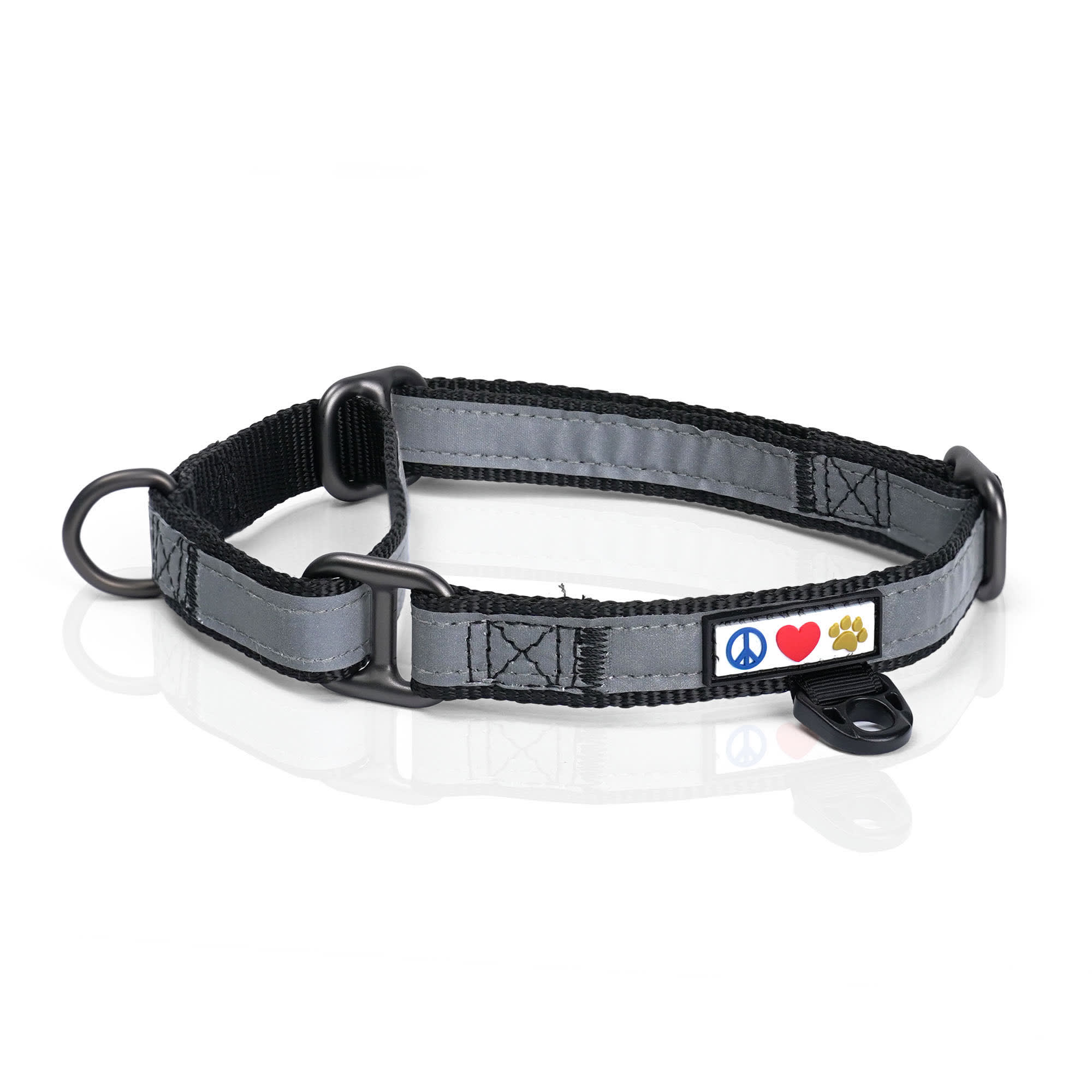 Pawtitas Reflective Martingale Dog Collar, Black, Medium Petco