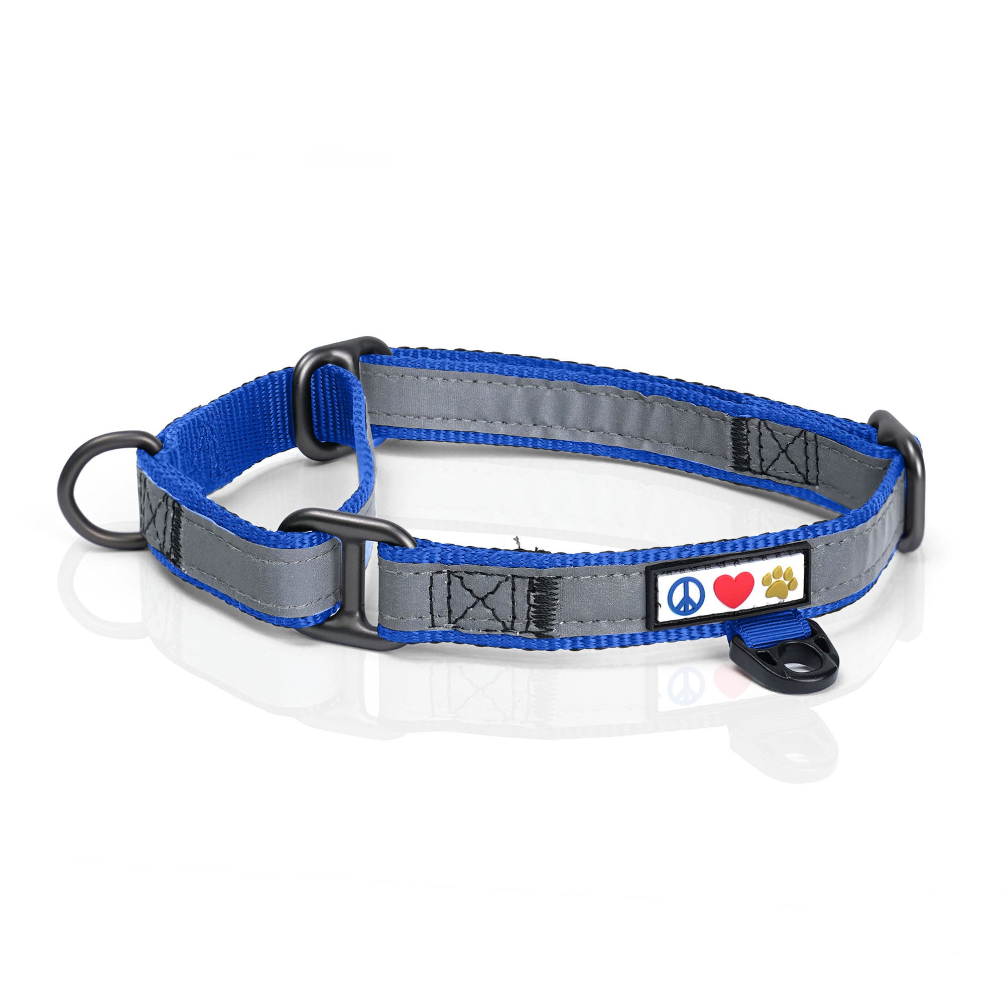 Pawtitas Reflective Martingale Dog Collar, Blue, Large Petco