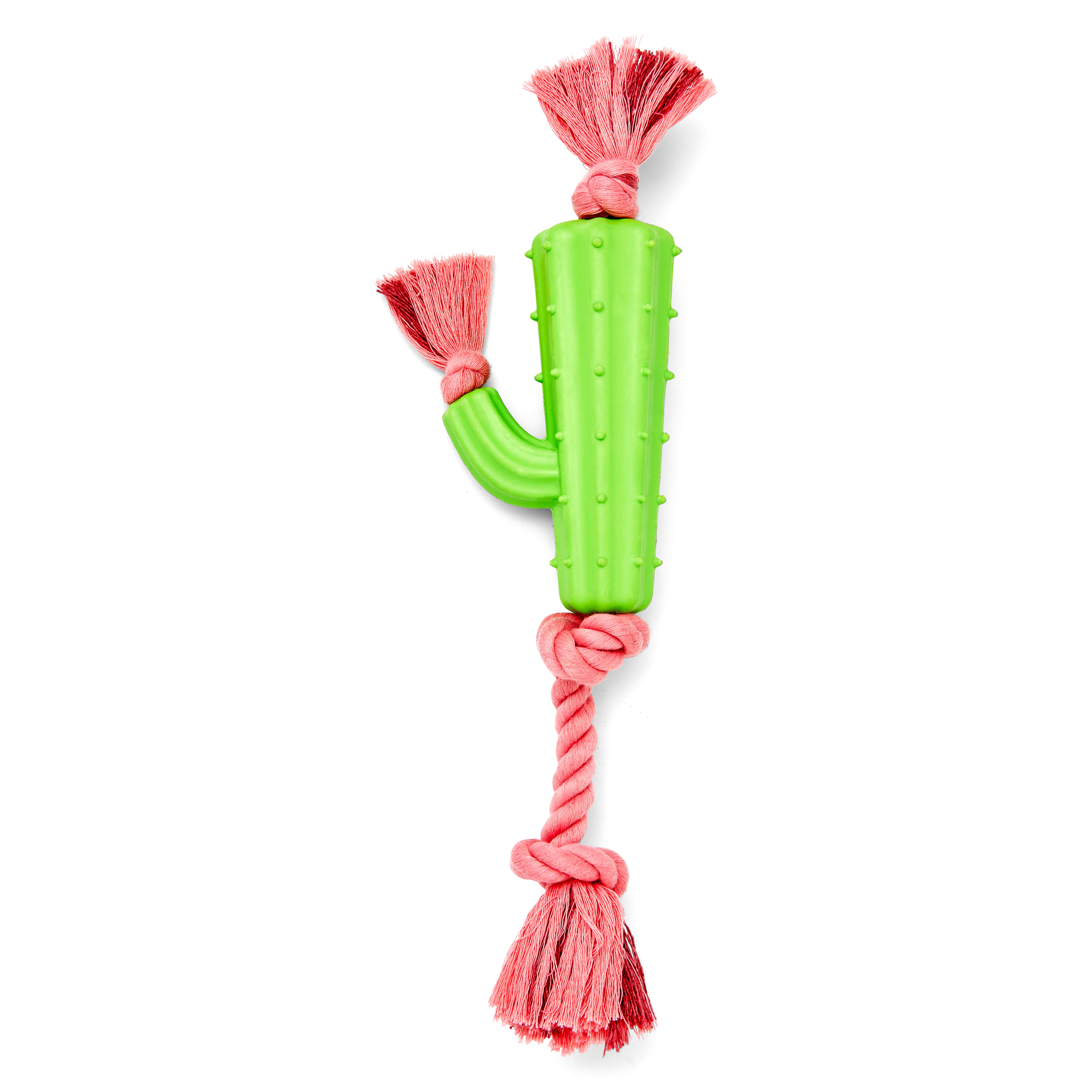 bark consuela the cactus dog toy