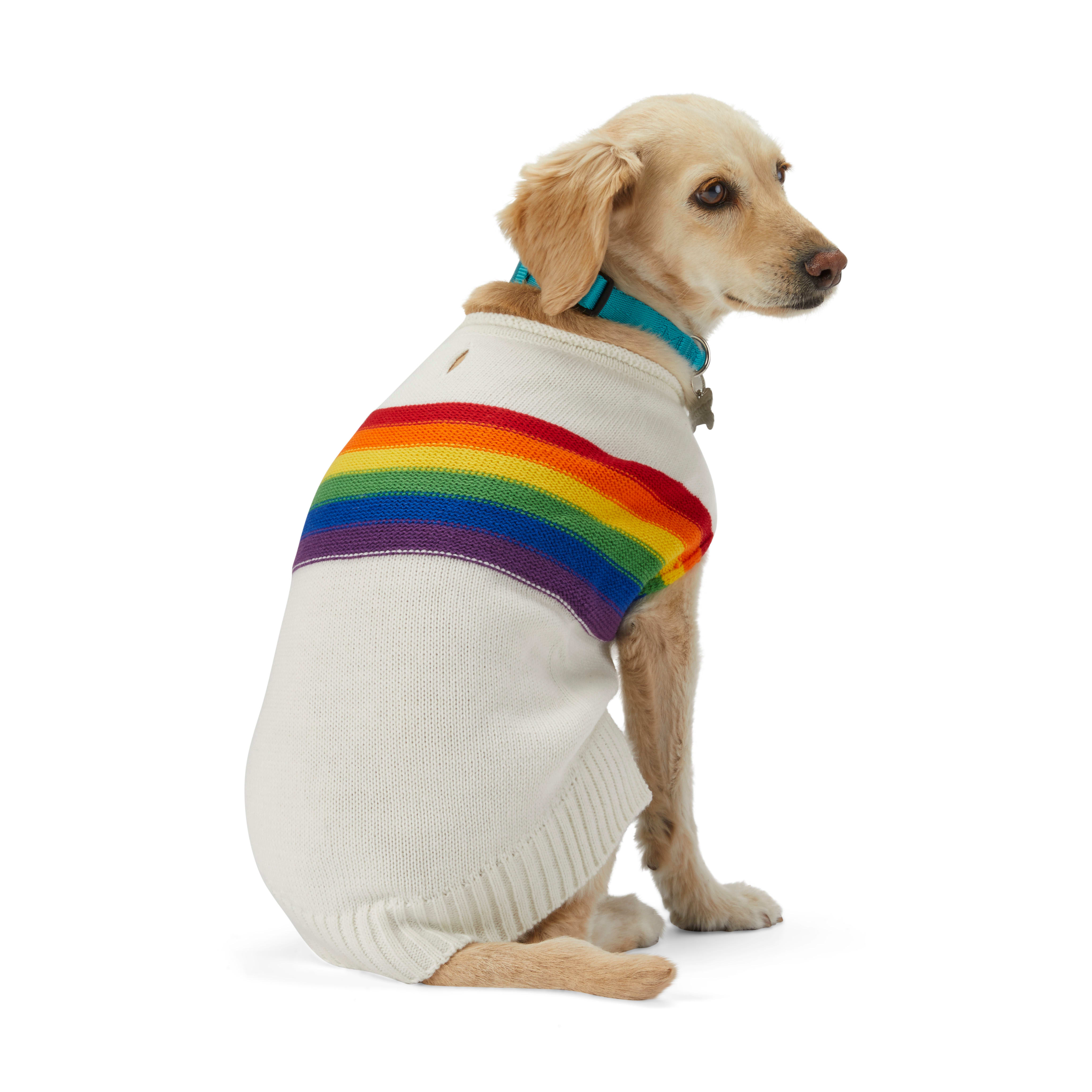 Rainbow 2024 dog outfit