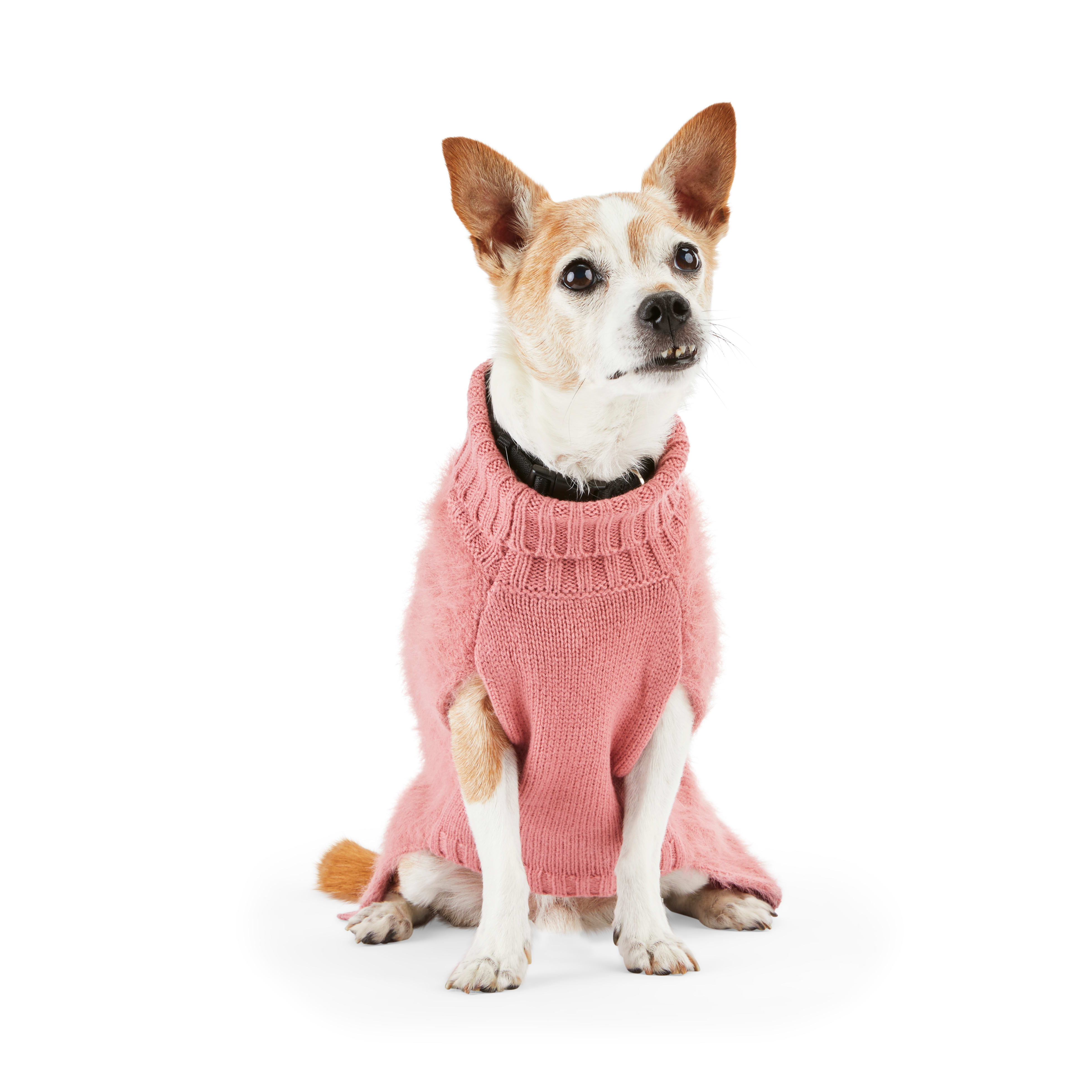 Dogs on clearance sweaters