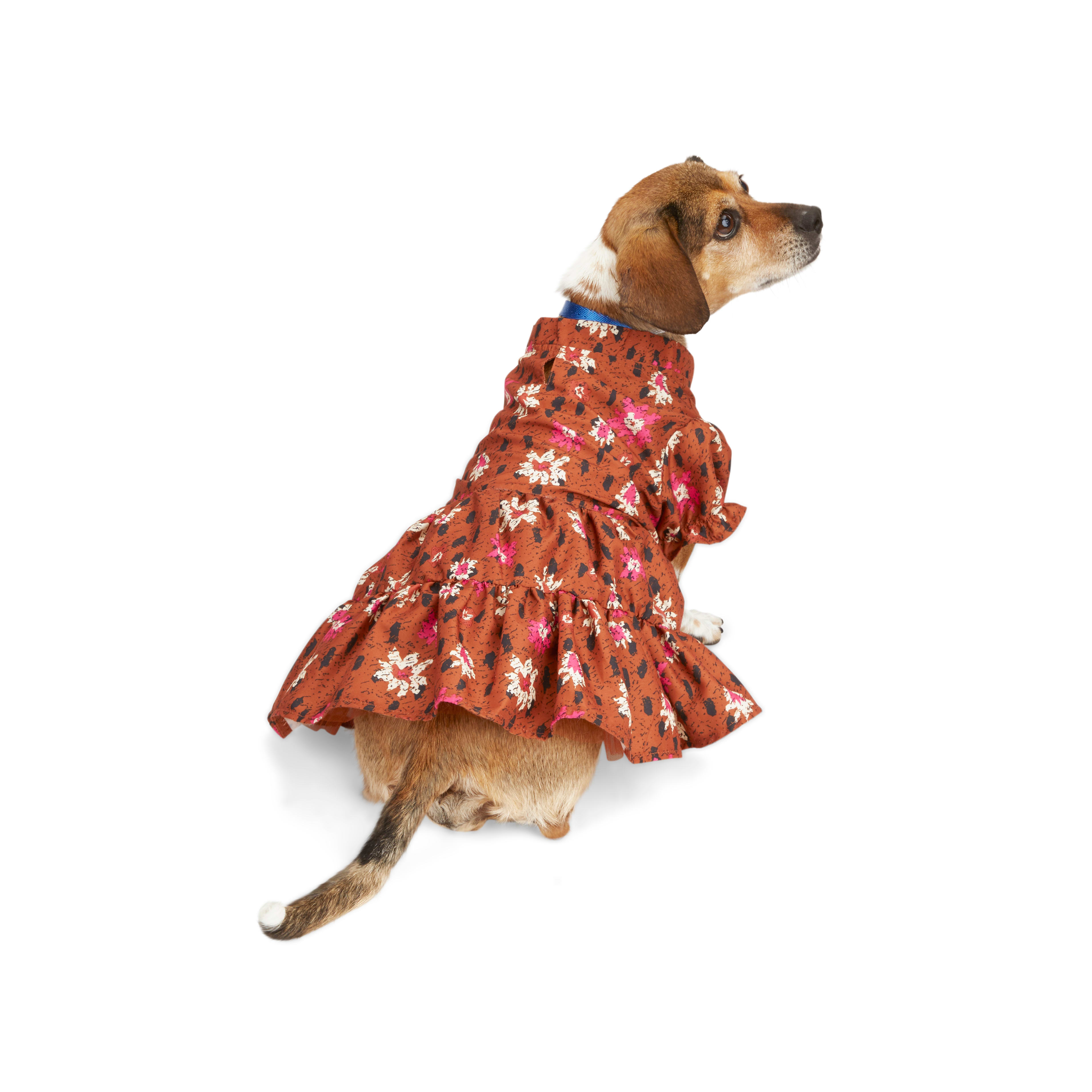 YOULY The Party Animal Leopard Floral Dog Dress Large