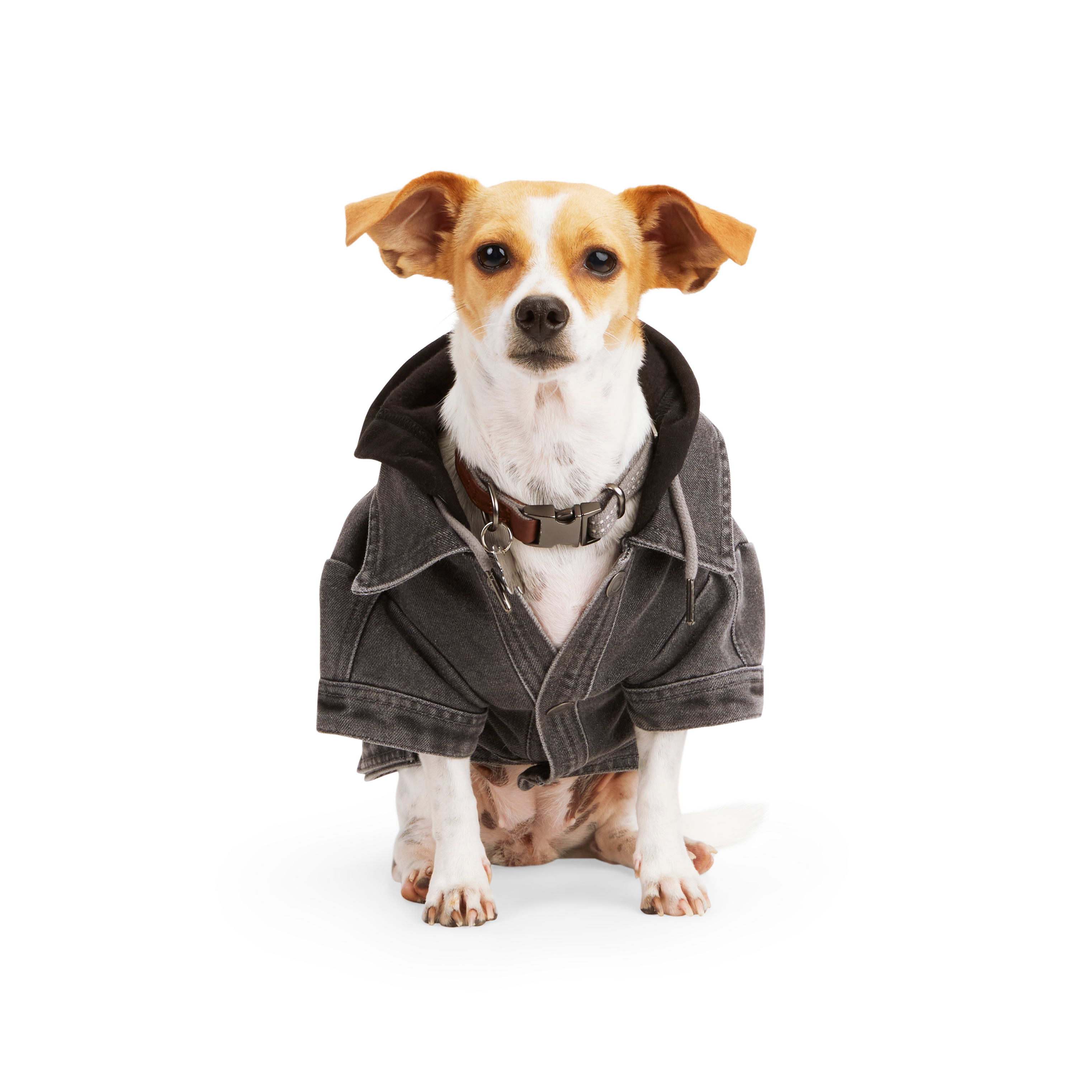 petco dog jacket