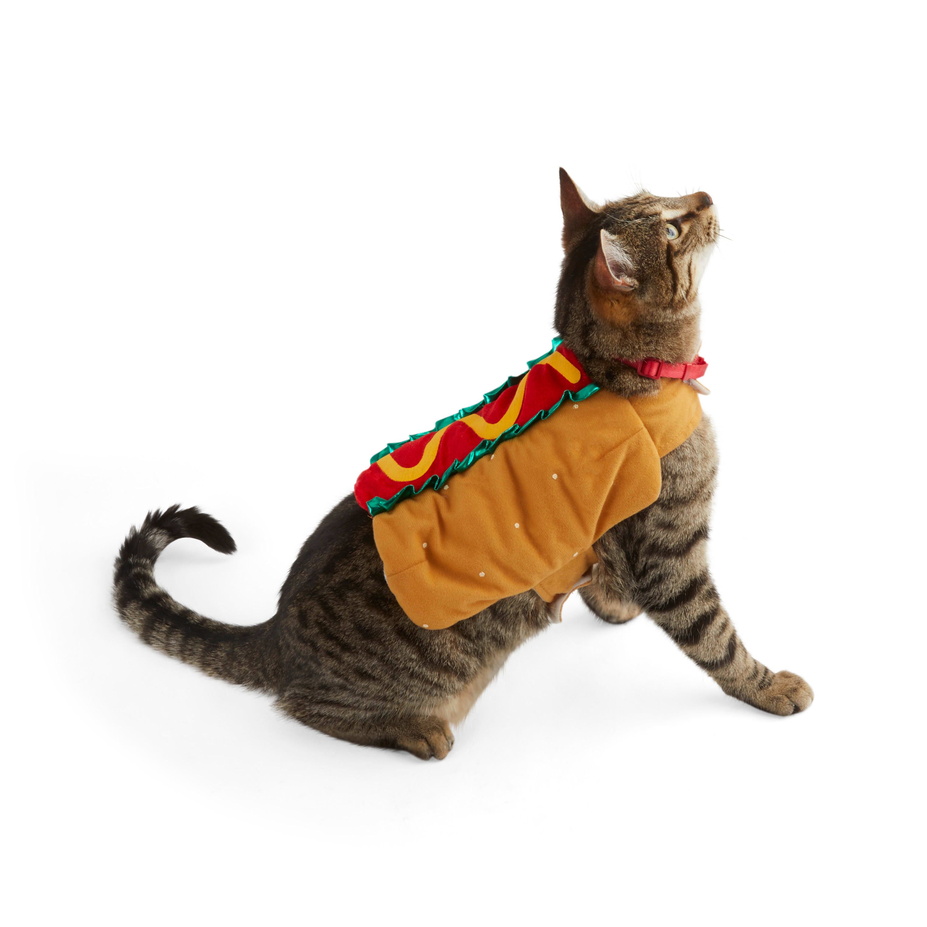 Hot Dog Dog Costume | Hot Dog Costume for Dogs | Petco