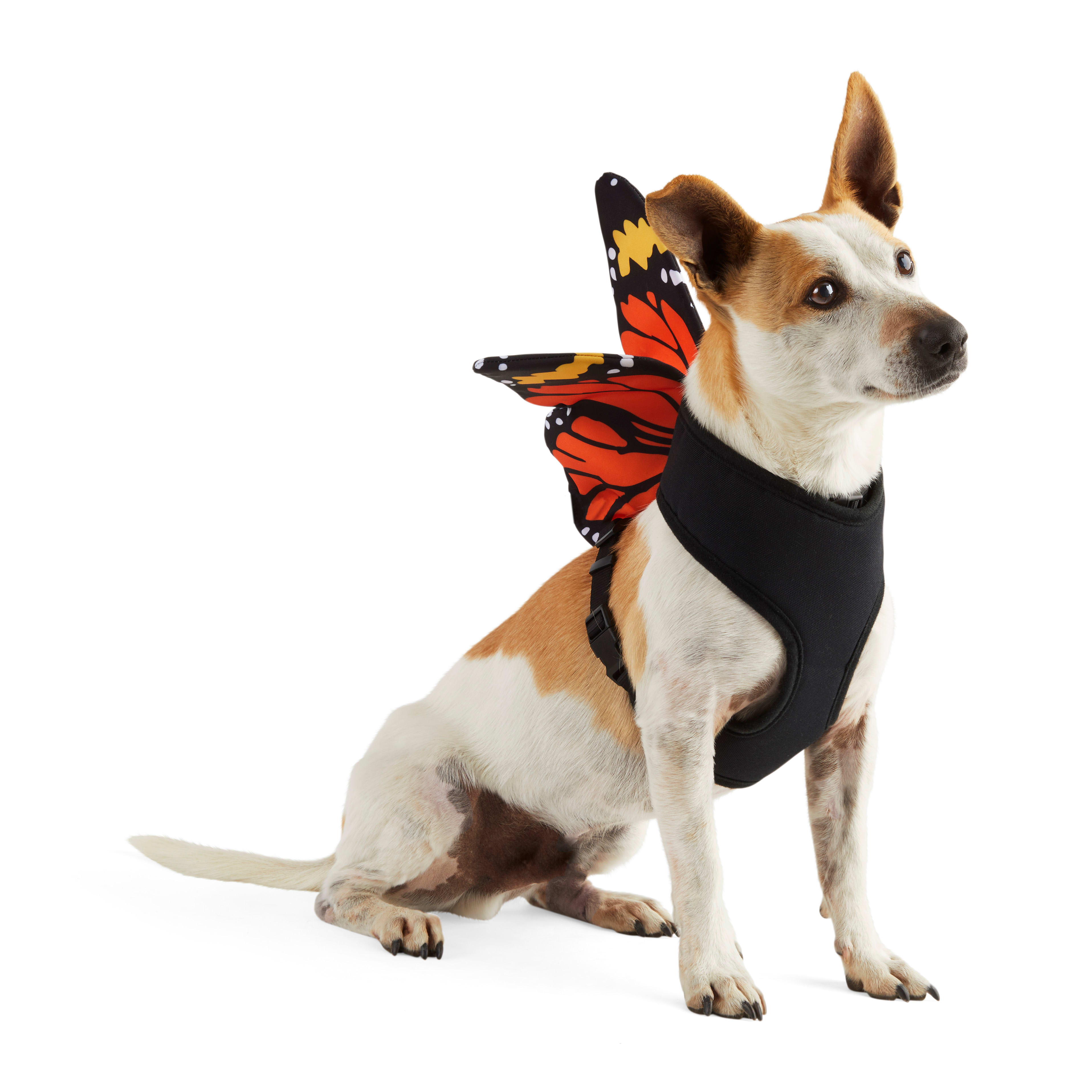  Bootique Social Butterfly Dog Harness, Medium