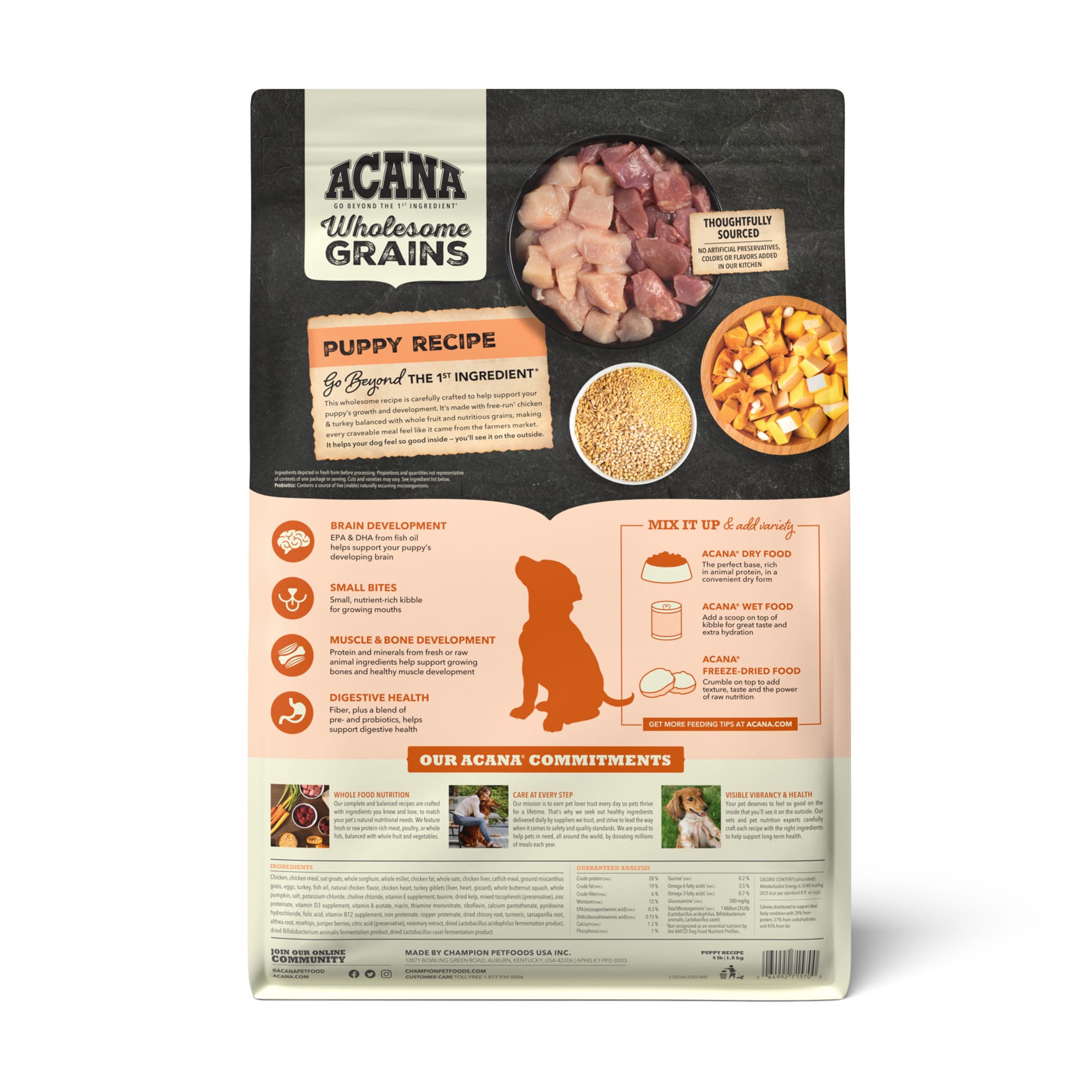 ACANA Wholesome Grains Puppy Recipe with Real Chicken Eggs and Turkey Dry Food 11.5 lbs