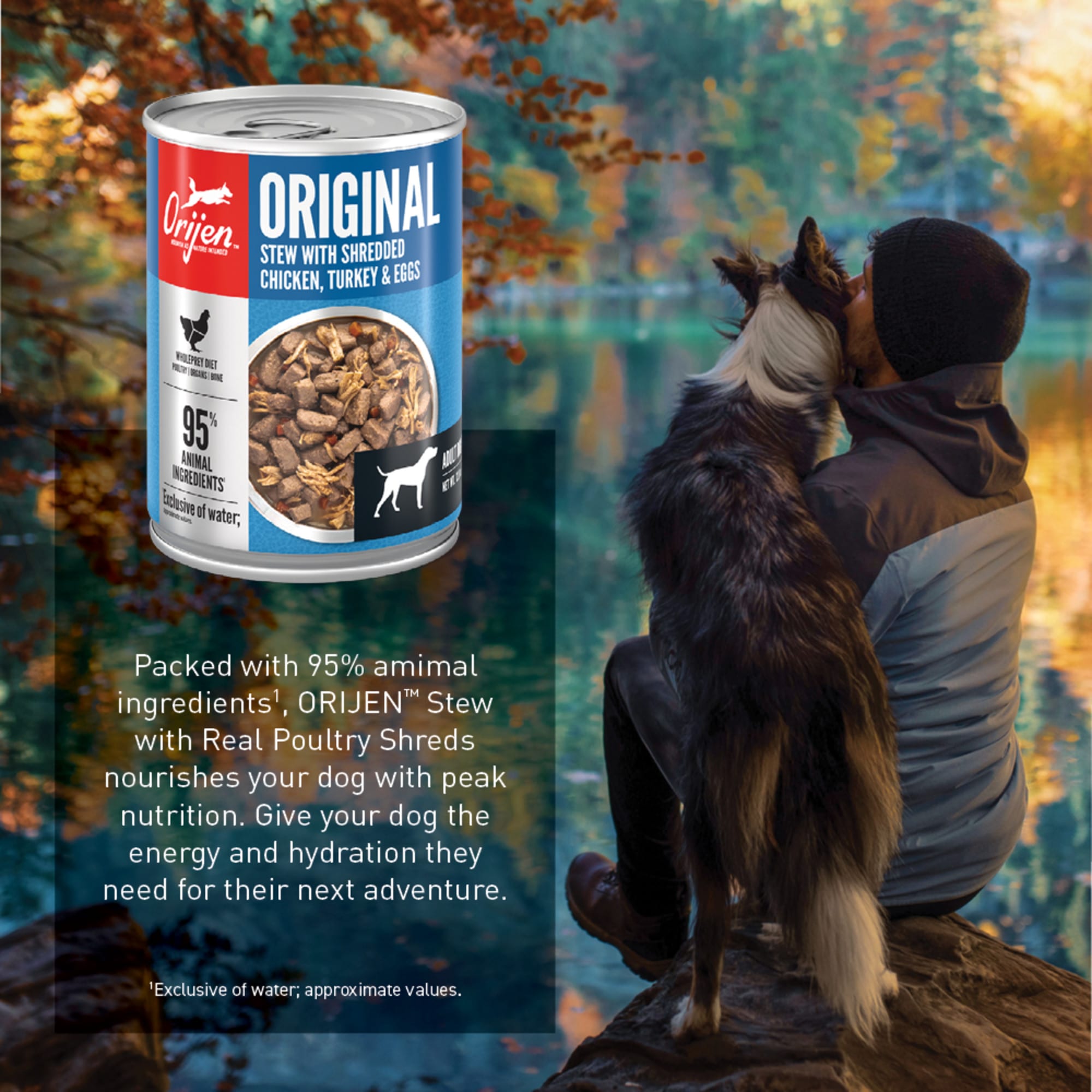 ORIJEN Grain Free Real Meat Shreds Original Stew Wet Dog Food