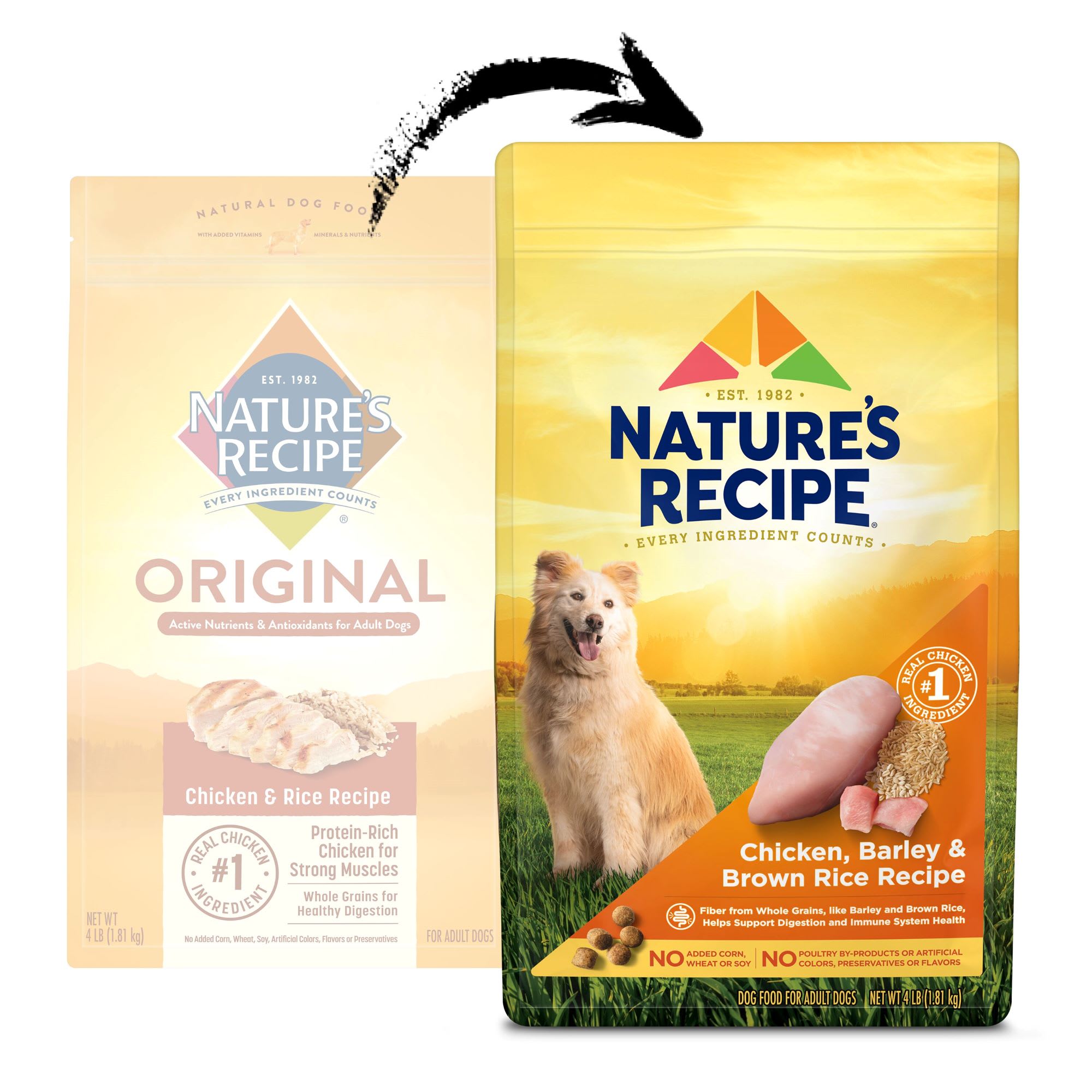 Nature s Recipe Original Chicken Rice Recipe Adult Dry Dog Food