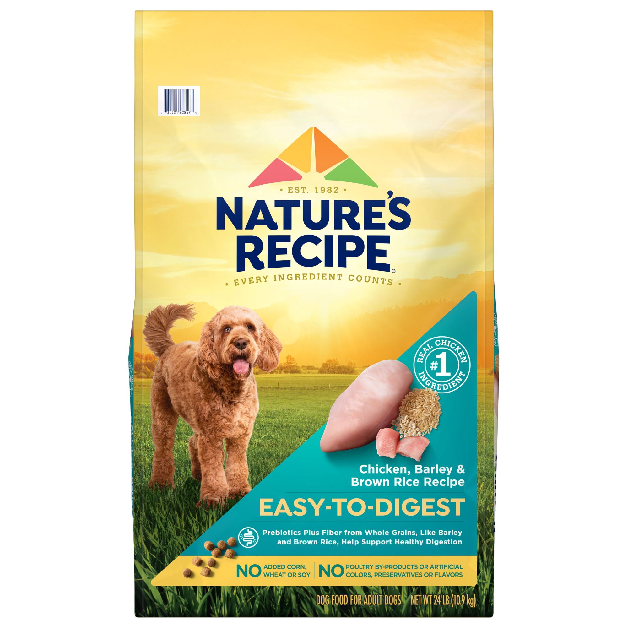 Natures recipe shop dog food salmon