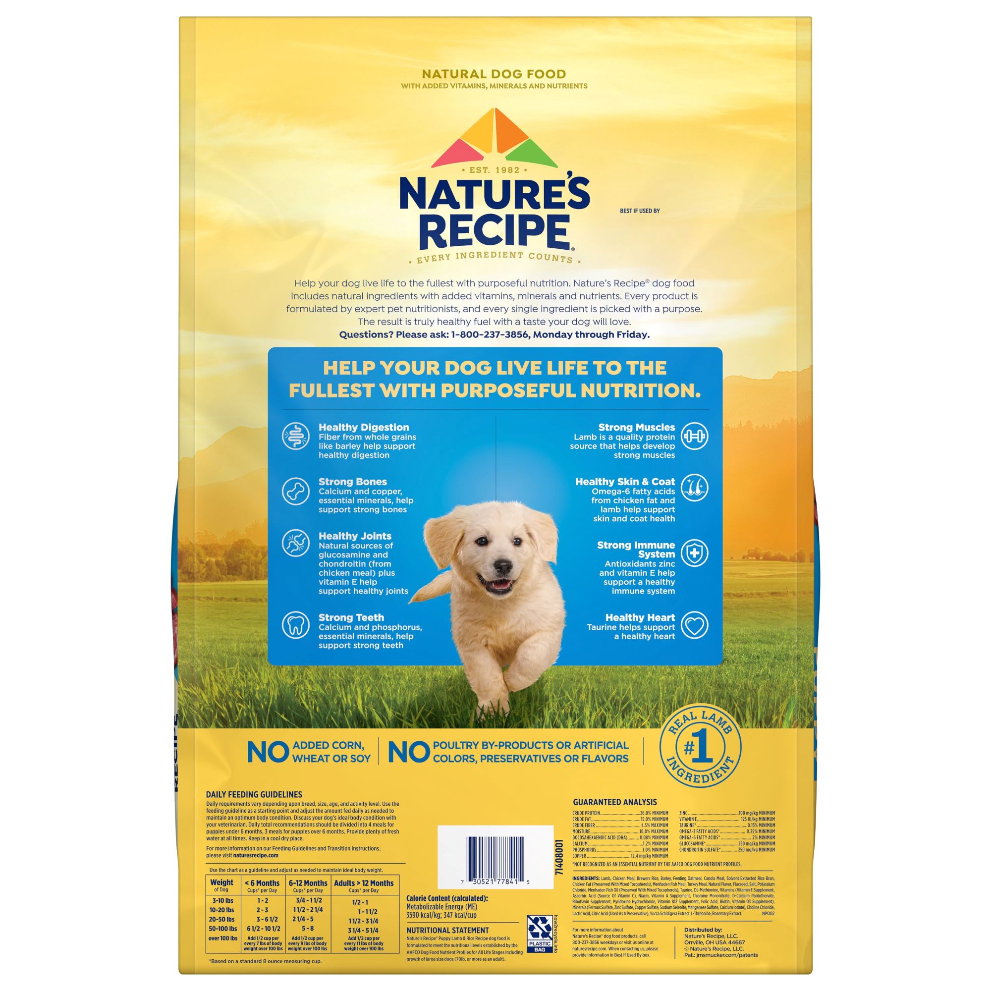 Natures recipe outlet petco