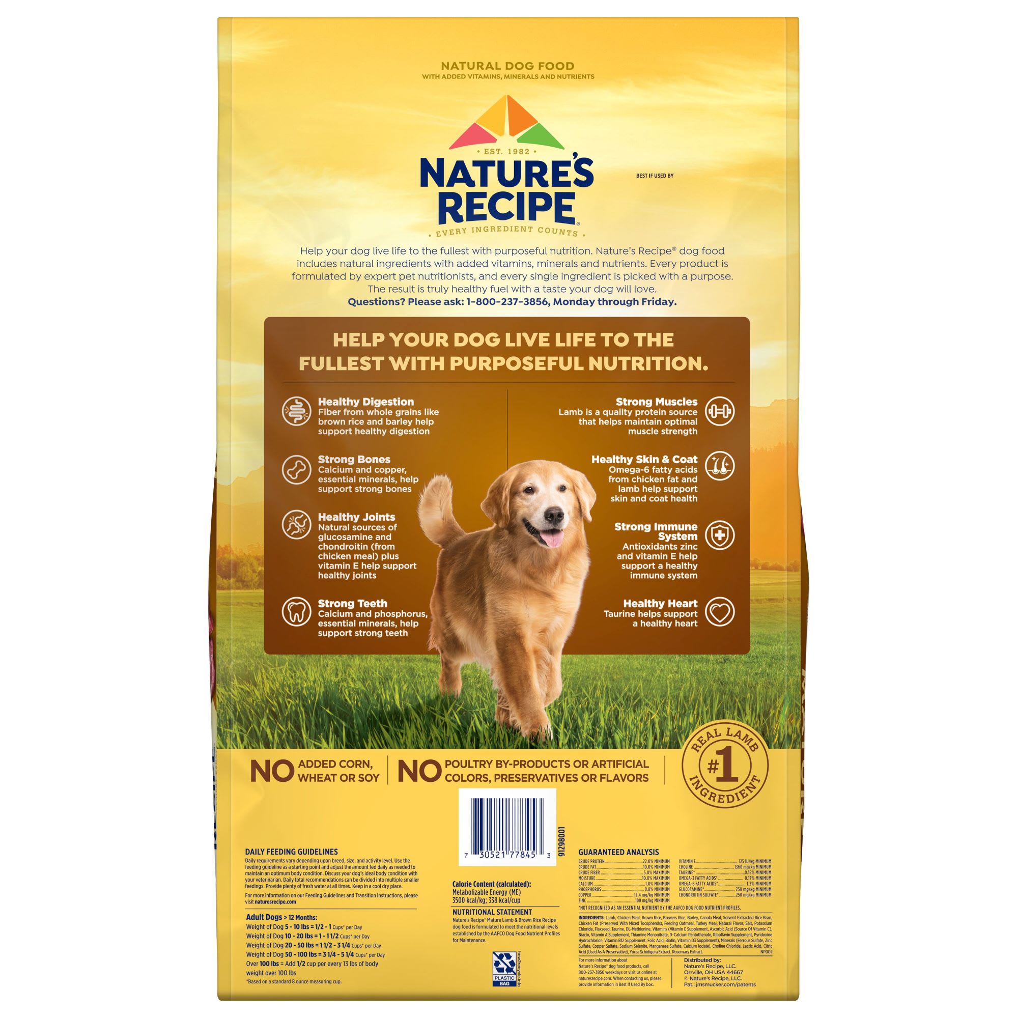 Nature's recipe senior lamb meal best sale & rice recipe dry dog food