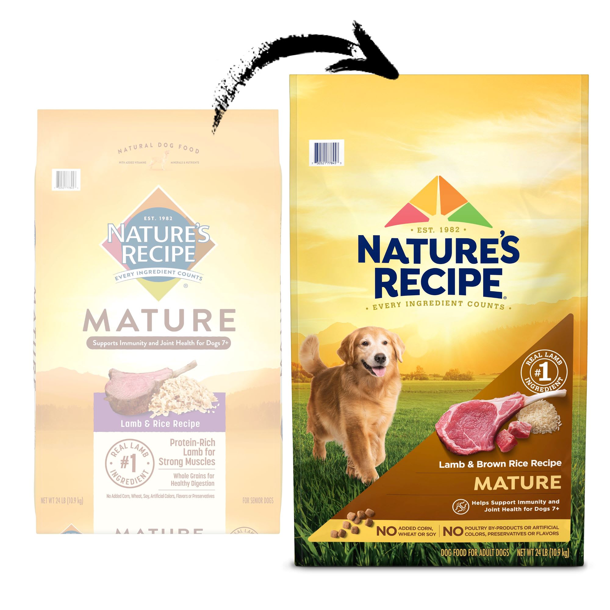 Nature's recipe shop lamb dog food